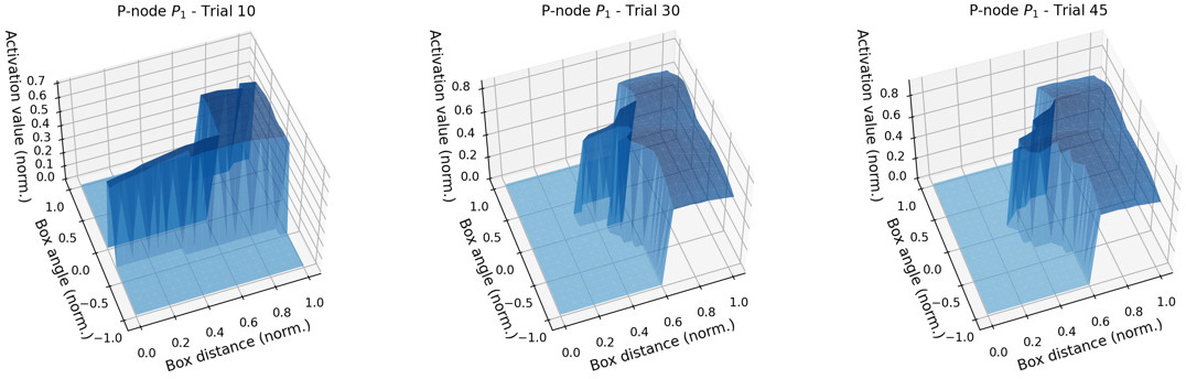 Evolution of the activation areas of P-node P1 for trials 10, 30 and 45.