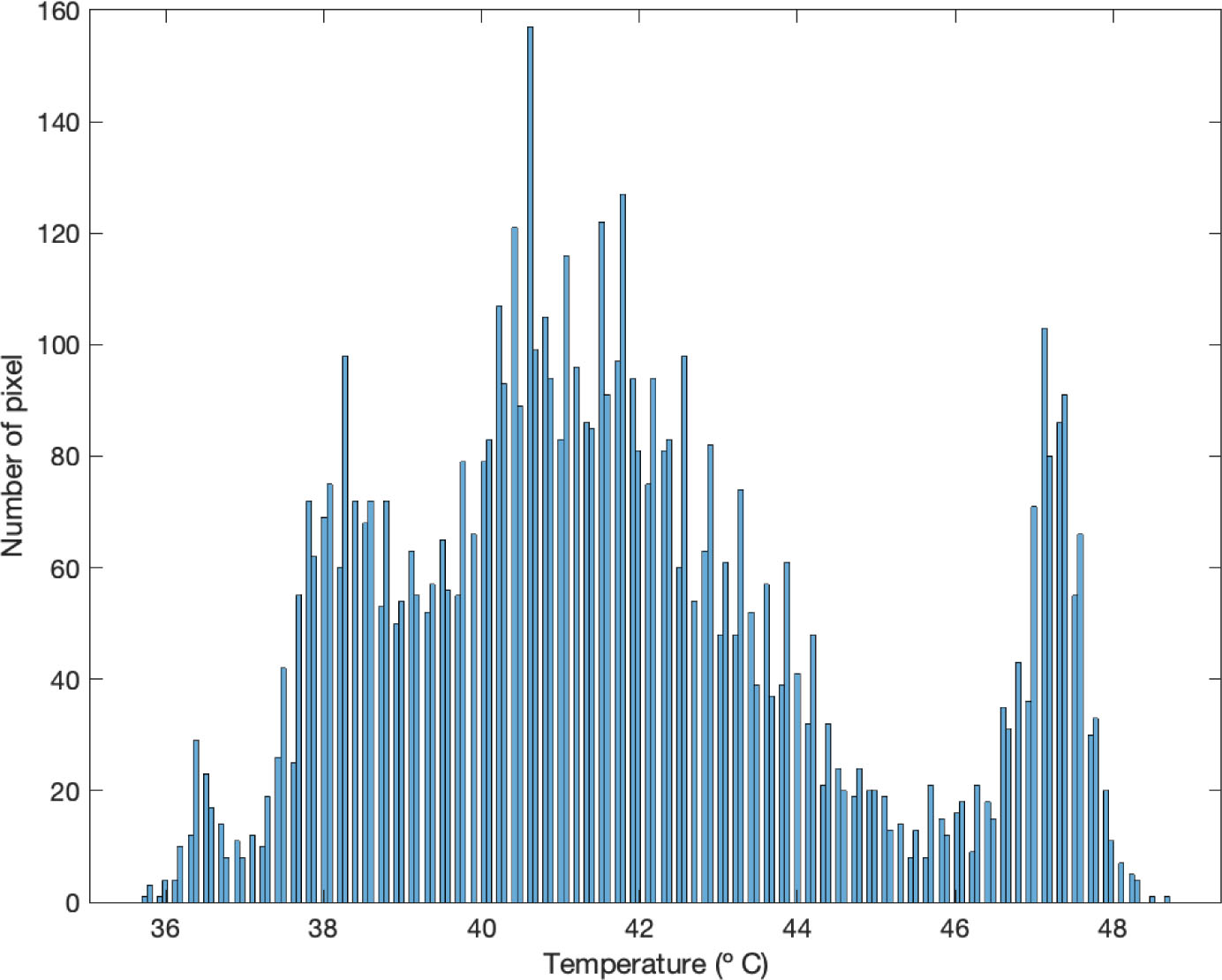 Intensity profile of the reference image computed as the maximum.