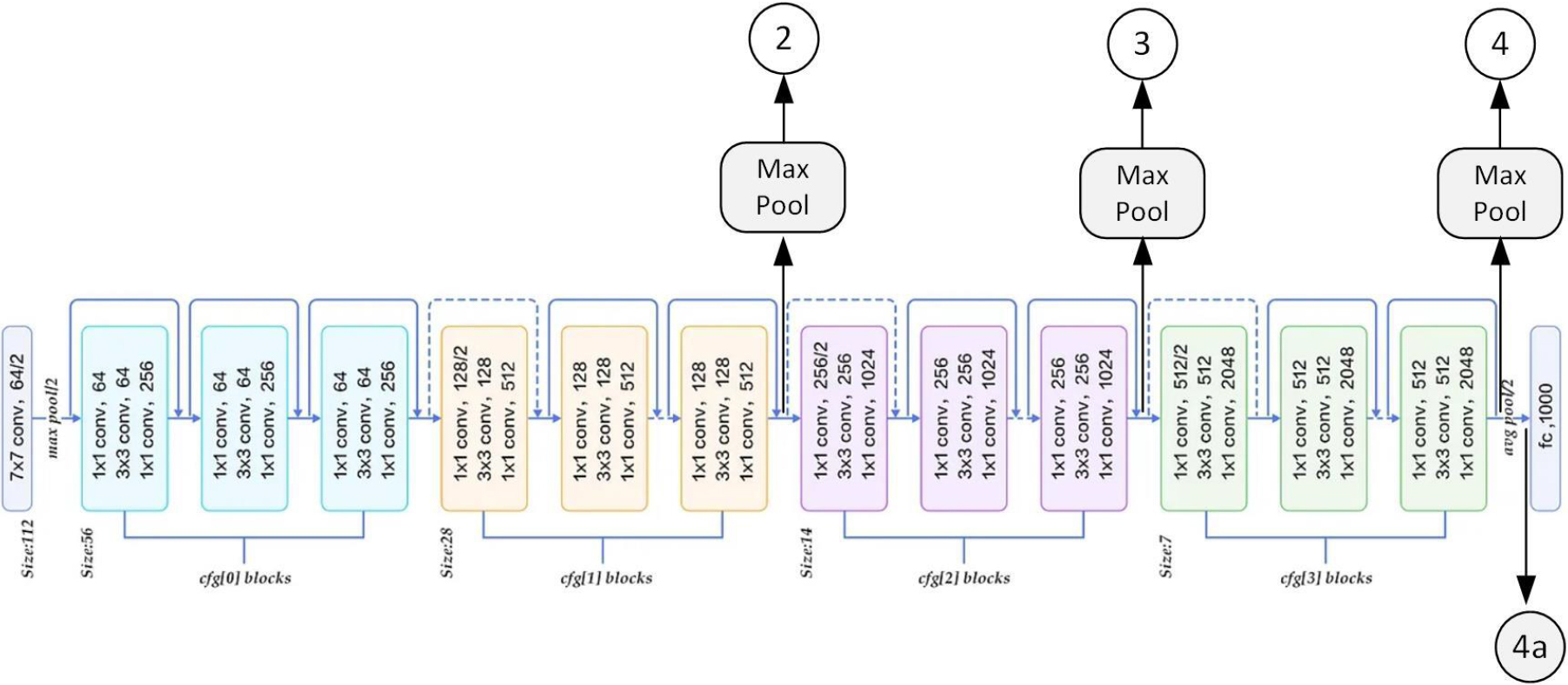A schematic of the ResNet-50 network architecture and various feature extraction layers used in this paper. (4a) is the ResNet-50 layer after the last average-pool block and before the fully connected one. ResFeats are composed of the (2) + (3) + (4) layers, which come after the max-pool blocks. Adapted from [44].