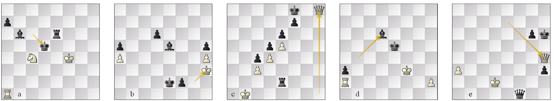 L3 (a) g35 Seer–Weiss 60.Nxb6??, (b) g75 Marvin–Pirarucu 67...f1=Q(/B)#; L2 (c) g17 Seer–Defenchess 67...Ke7 force, (d) g24 Defenchess–Winter RP-bp win, (e) g49 Nemorino-Minic 76...Kg7 force.