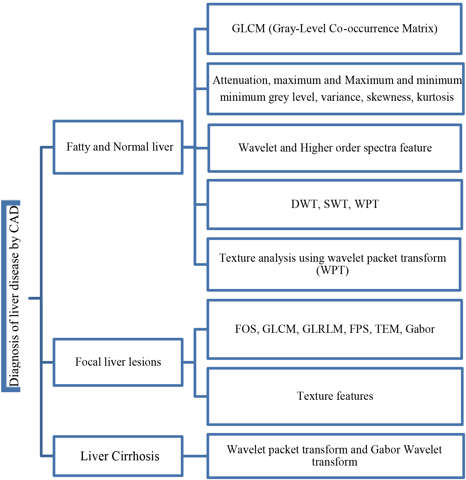 Feature map of the diagnosis of liver disease techniques.