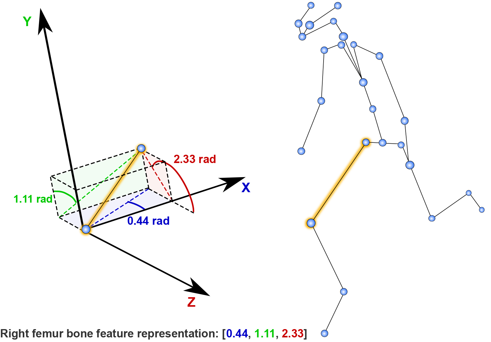 Skeleton bone feature representation. Each bone was defined by three features per frame (X, Y, and Z angles), here illustrated for the right femur bone from a frame in a skeleton sequence.