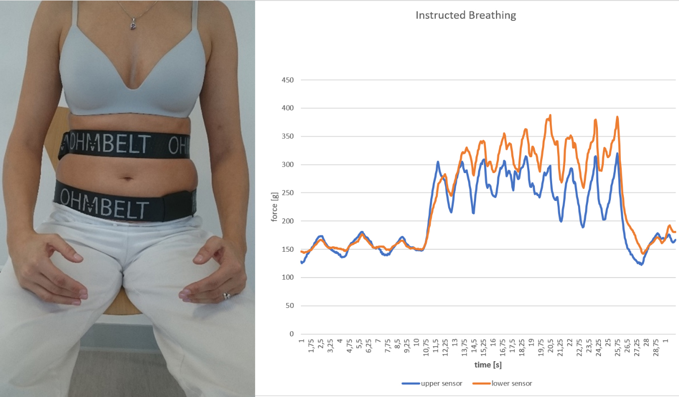 Instructed breathing assessment. First, the individual breathes normally, then at the 10th second he/she was instructed to direct the breath towards both sensors (steep increase of both lines in the graph).