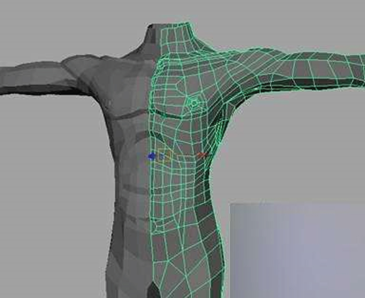 The modeling the upper limbs of characters.
