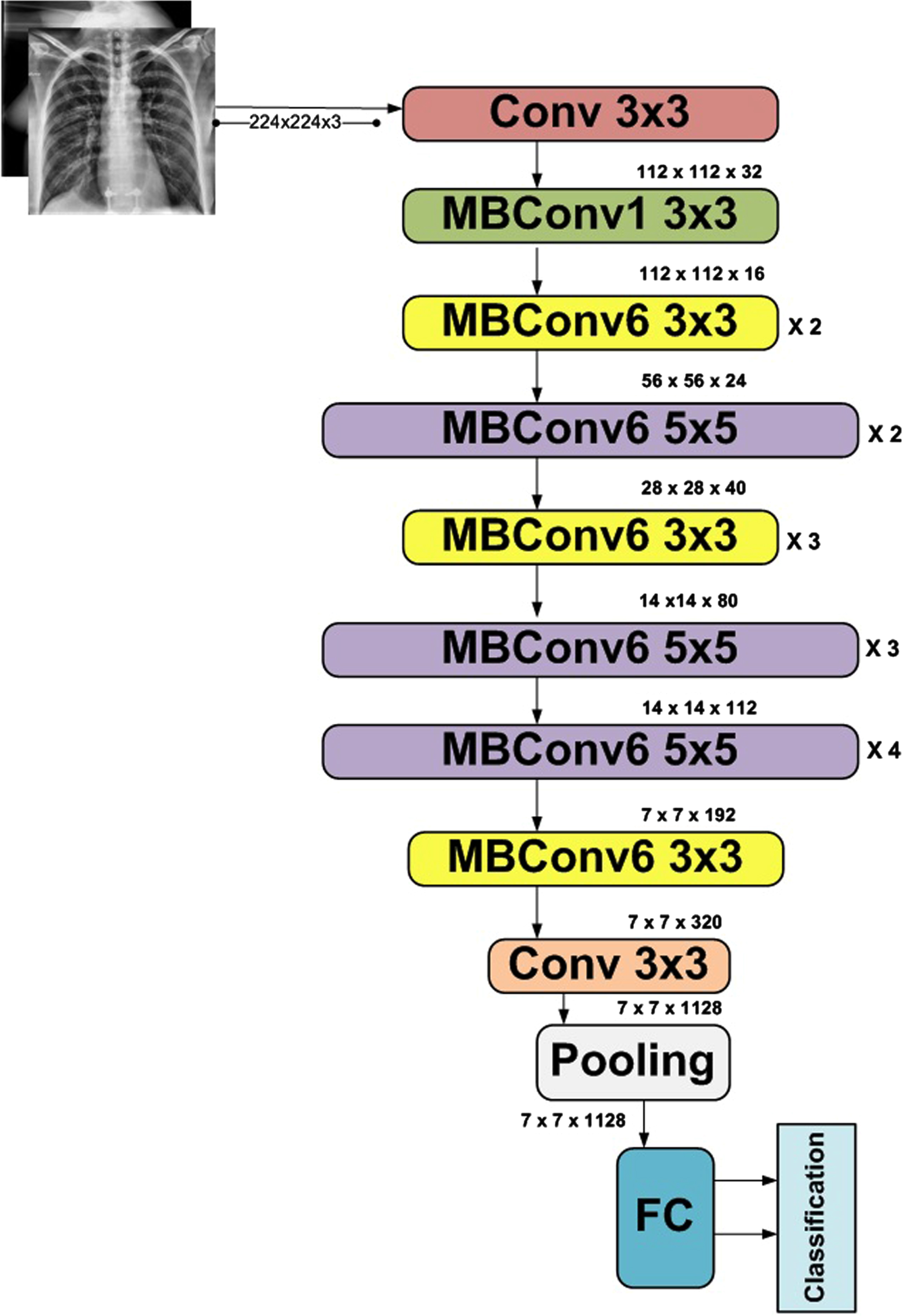 Architecture of EfficientNetB0.