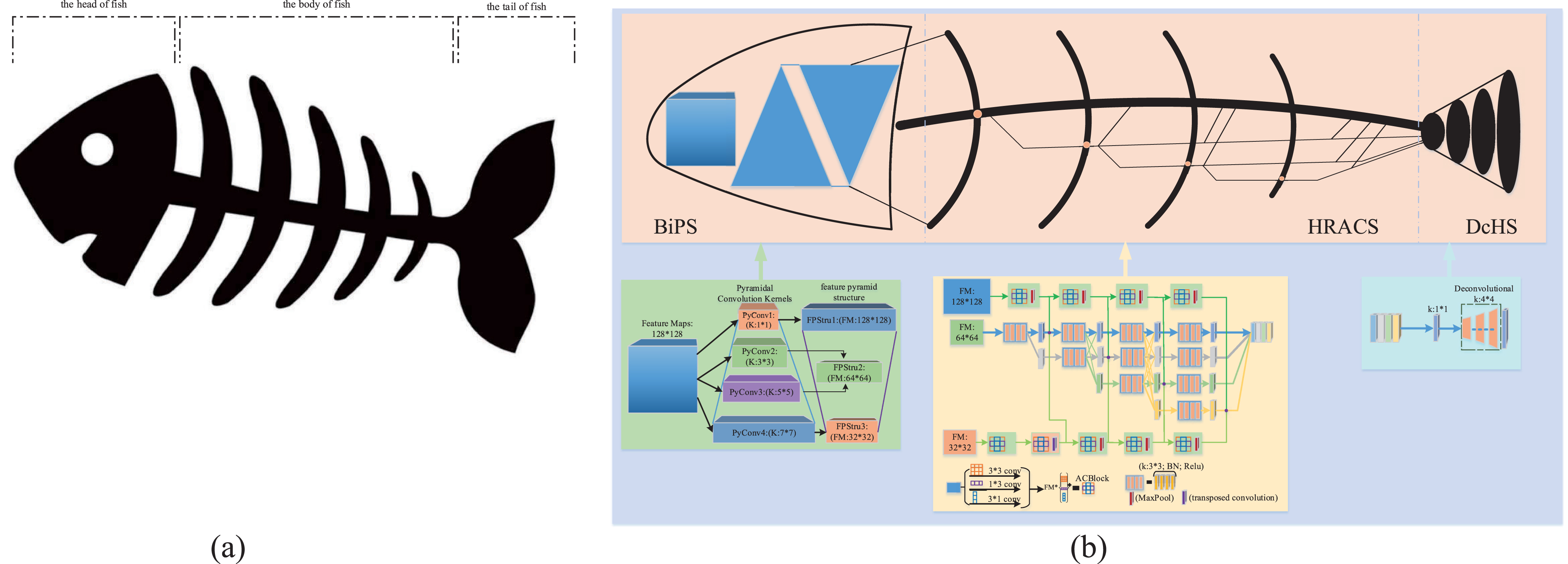 Overview of the proposed a fish skeleton CNN for hand pose estimation. (a) The fish skeleton structure: The head of fish; the body of fish; the tail of fish. (b) A detailed view of FS-HandNet. The three colored boxes represent BiPS, HRACS, and DcHS, respectively.