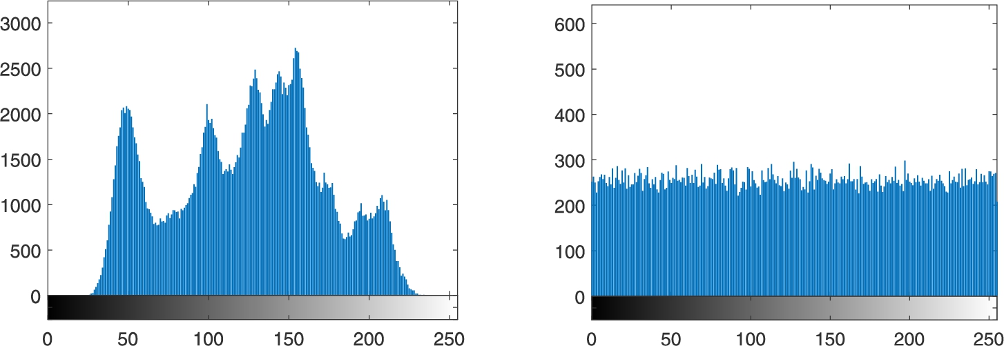 The histogram of the Lena image (left) and the histogram of a sample shadow image (right).