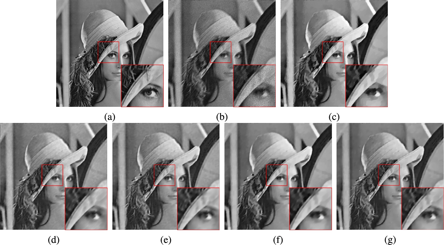 Restoration results for the image Lena (P=200) by using five methods. (a) original image, (b) degraded image, (c) TV, (d) FOTV, (e) HOTV, (f) OGS-TV, (g) our model.