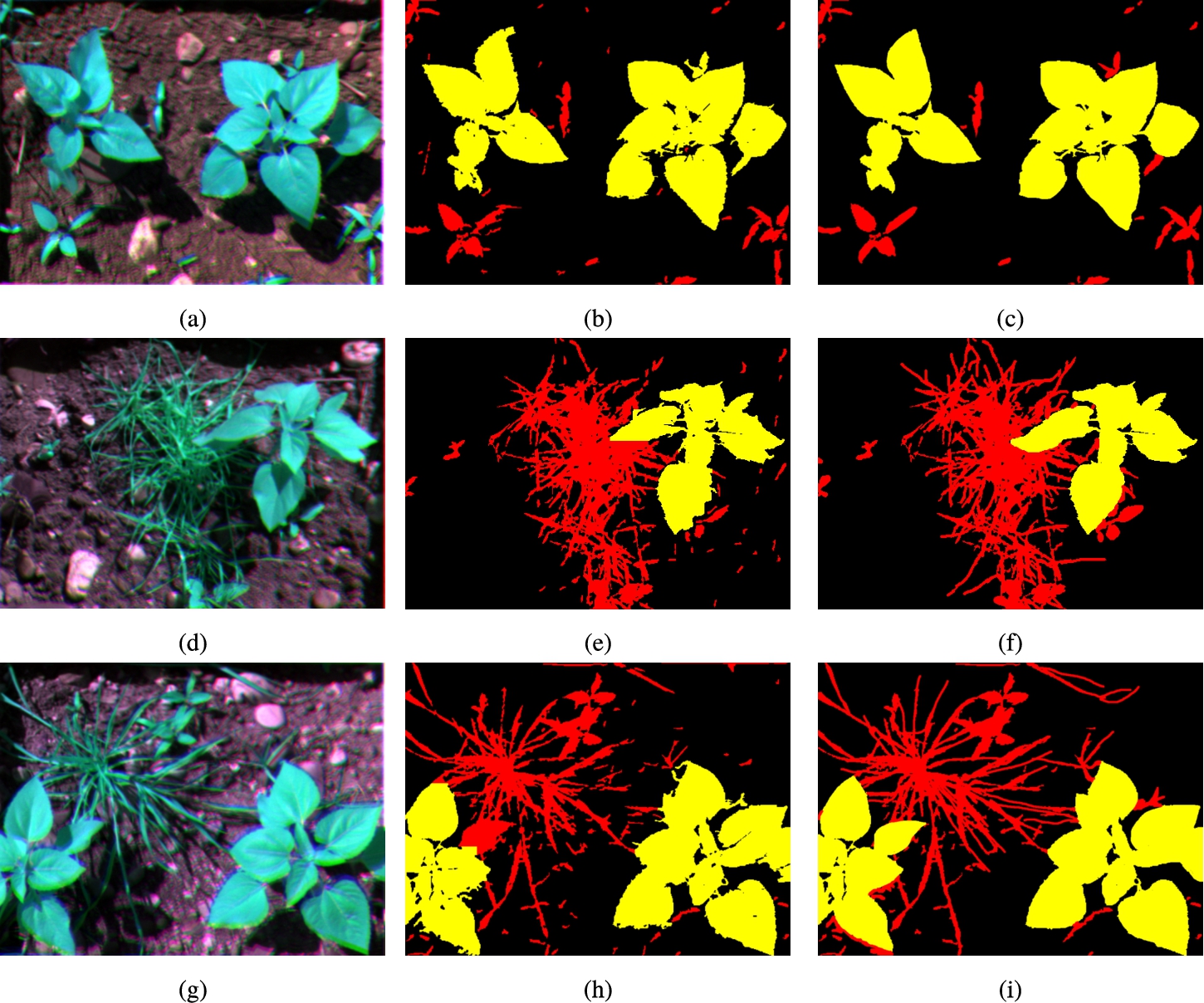 Three sample images (34, 25 and 15) segmented by the proposed classical algorithm (one per row). (a), (d) and (g) show a RGB representation of the multi-spectral image using RED, NIR and GRE bands; (b), (e) and (h) show the output of the algorithm; and (c), (f) and (i) show the ground truth determined by humans.