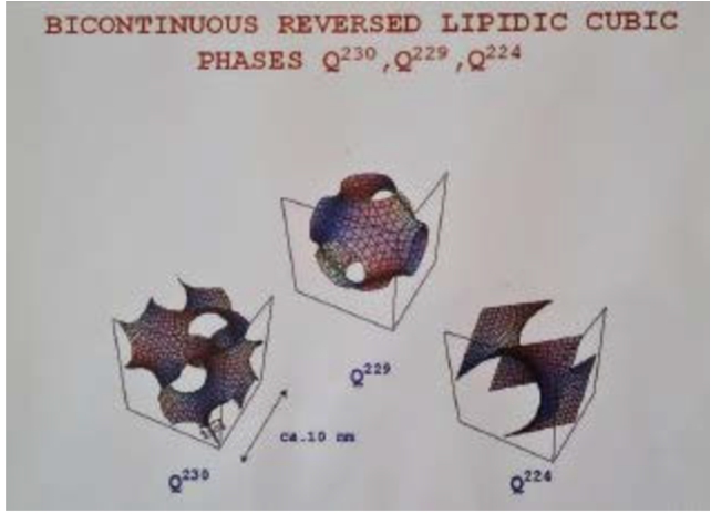 Shapes of minimal surfaces in lipids. Prof. V. Razumas (Institute of Biochemistry of LAS), 2009. From M. Sapagovas’s photo collections.