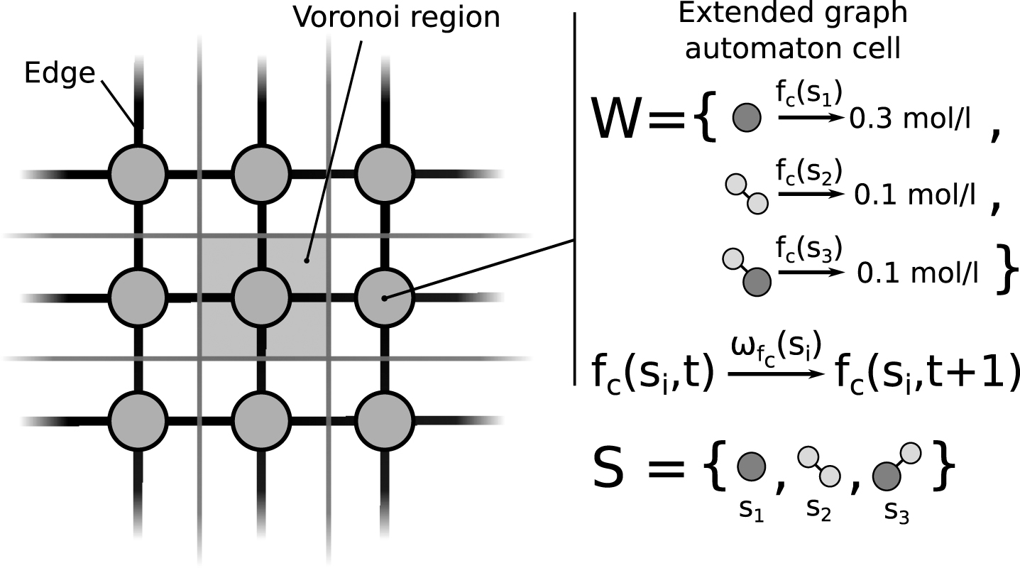 A section of a cellular graph automaton illustrating nodes, edges, and Voronoi regions. A set of species S is globally defined and a set of attributes can be assigned to every individual species. Each extended graph automaton cell (see Definition 3) contains the current concentration fc (si) of a species si. The species and values depicted were only chosen as an example. The value function ωfc (si) defines a rule for the change in concentration for each species.