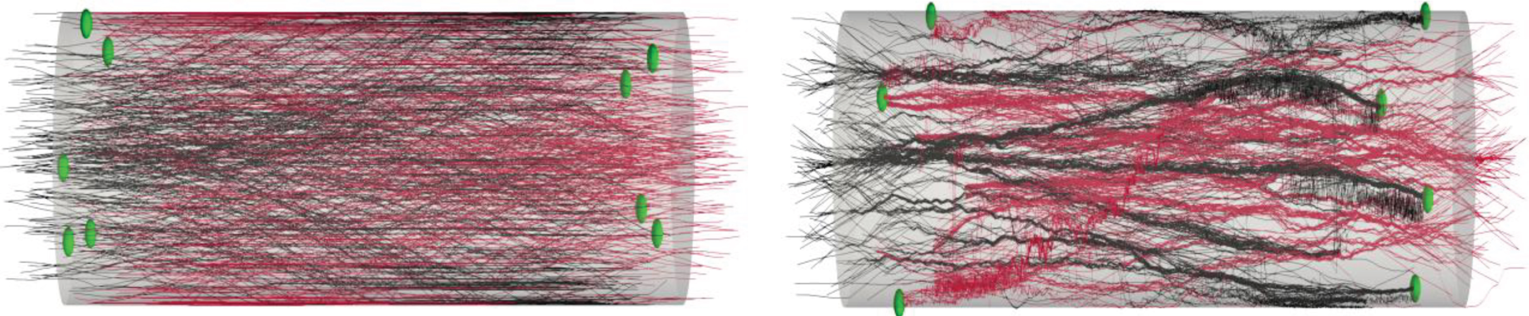 Growth pattern and synapses examples. Illustration of synaptic formation close to the cells aggregate. The spheres indicate the synapses location. We consider that a synapse is formed when 2 fibers are closer than a threshold distance of 0.5 μm. Synapses occur close to the aggregate (within 100 μm). The connectivity information is extracted for the spiking network simulation. (A) The output image of the model: synaptic formation in bidirectional micro-TENNs without axonal bundles. (B) The output image of the model: synaptic formation in bidirectional micro-TENNs with axonal bundles.
