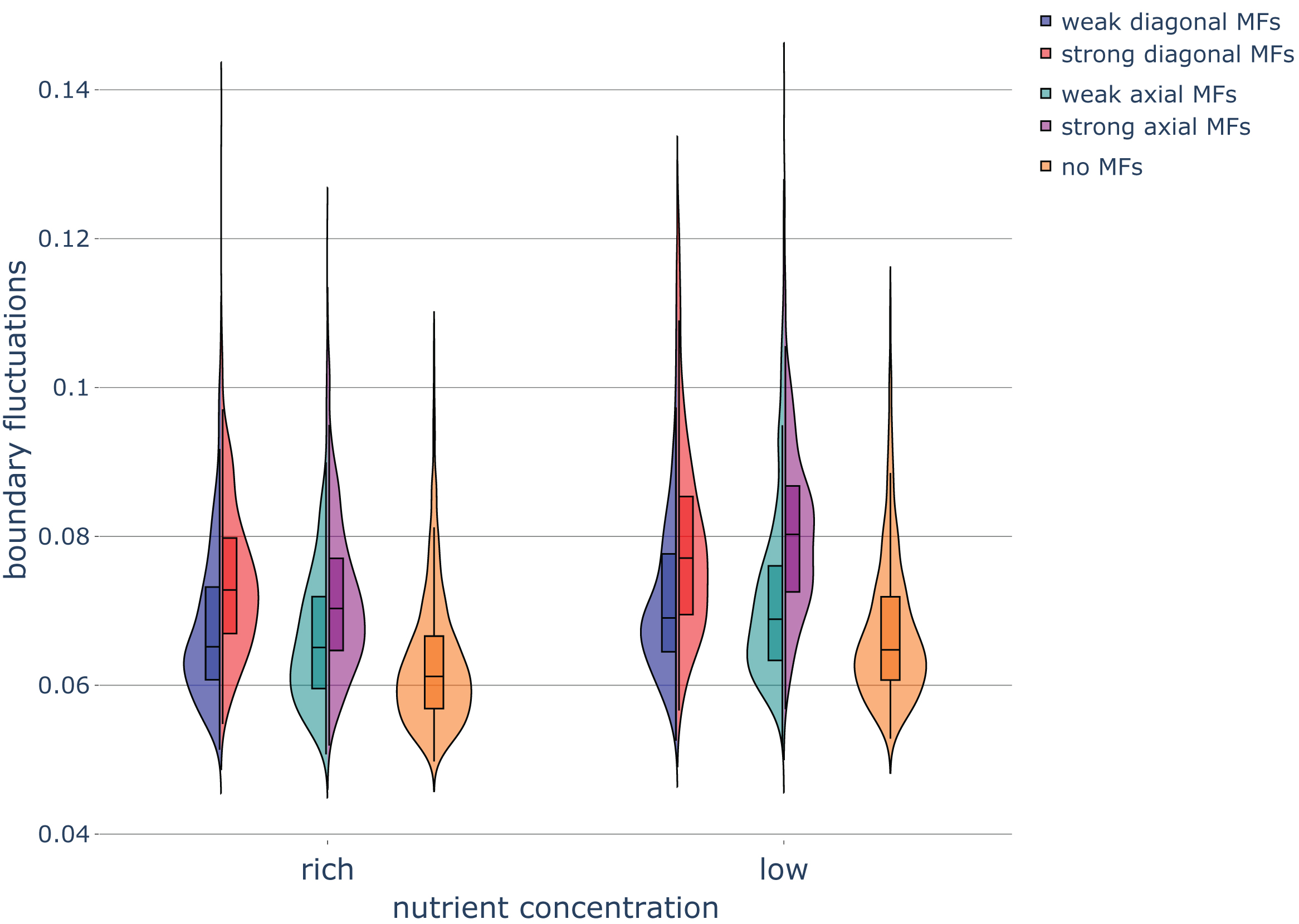 Boundary fluctuations of diploid colonies without pseudohyphal growth under different nutrient and magnetic field conditions. Violin plots of the boundary fluctuations of colonies in various nutrient conditions and exposed to magnetic fields (MFs) of different strengths and directions. Parameters were set as follows: rich-nutrient condition: START_NUTRS = 20, low-nutrient condition: START_NUTRS = 2; nSteps = 10; paxial = 0; no MFs: MF_STRENGTH = 0, weak MFs: MF_STRENGTH = 0.5, strong MFs: MF_STRENGTH = 1.