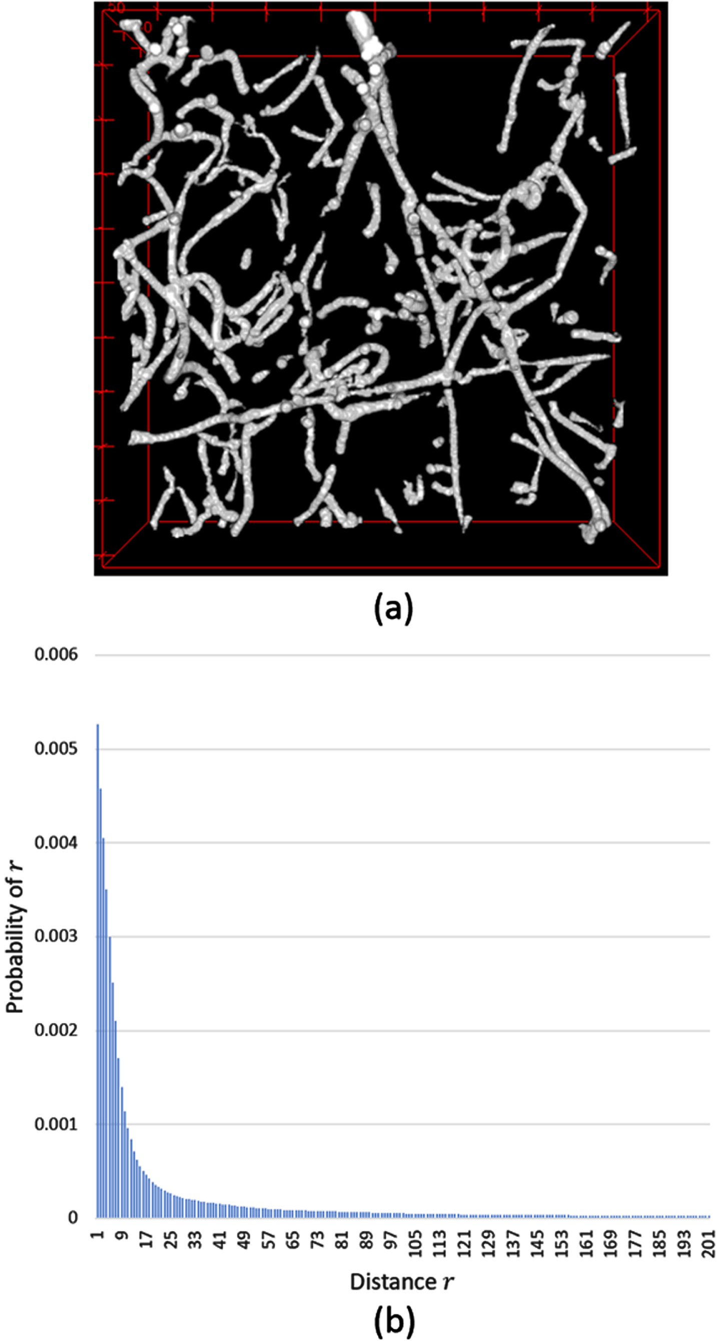 An example of the distribution of a two-point correlation function (TPCF) (a) The 3-dimensional image contains two phases (white phase: a fiber network, black phase: background). (b) The probability distribution of TPCF calculated from the image in (a).