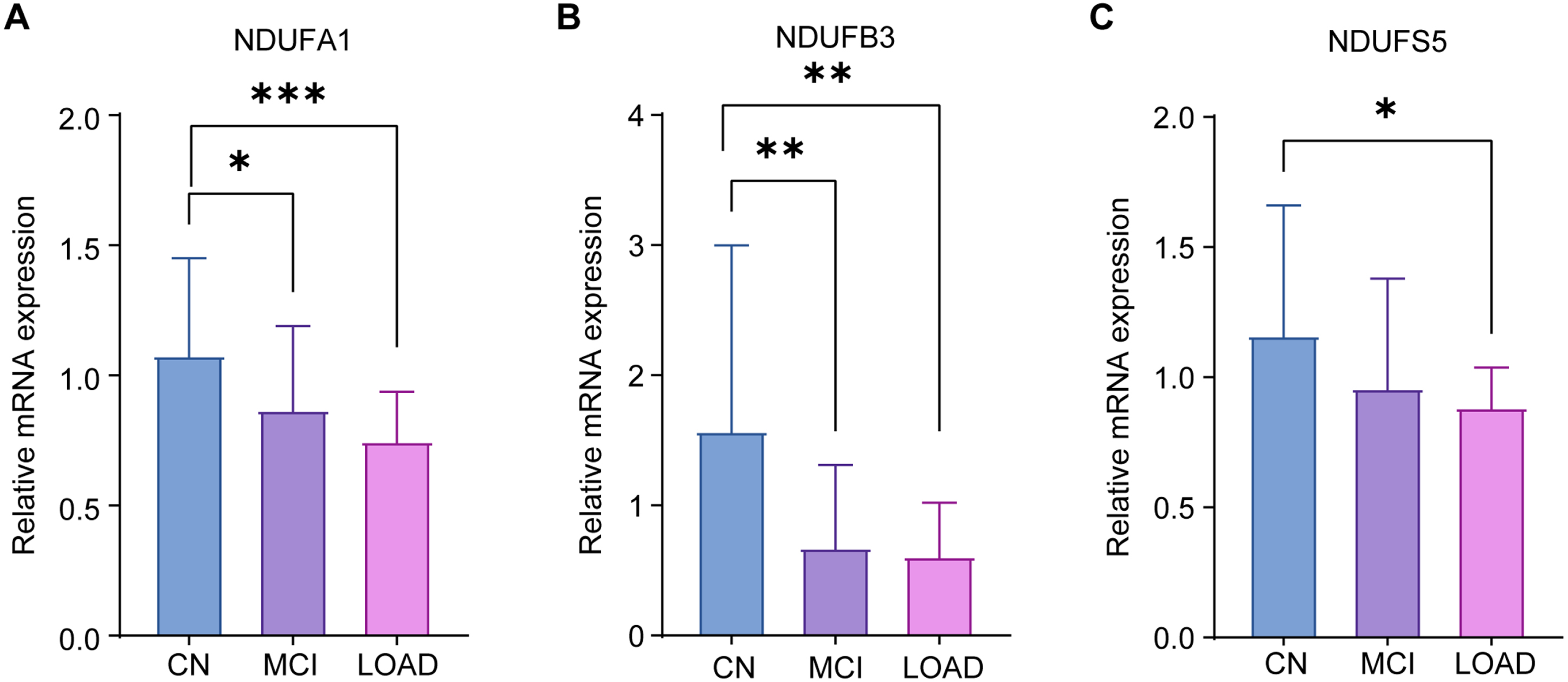 qRT-PCR validation results. qRT-PCR was used to verify the expression of NDUFA1 (A), NDUFB3 (B), and NDUFS5 (C) in CN, LOAD, and MCI. The experiments were performed in triplicate, and the data were expressed as mean±SEM (*p <  0.05, **p <  0.01, ***p <  0.001; ns, no significance).