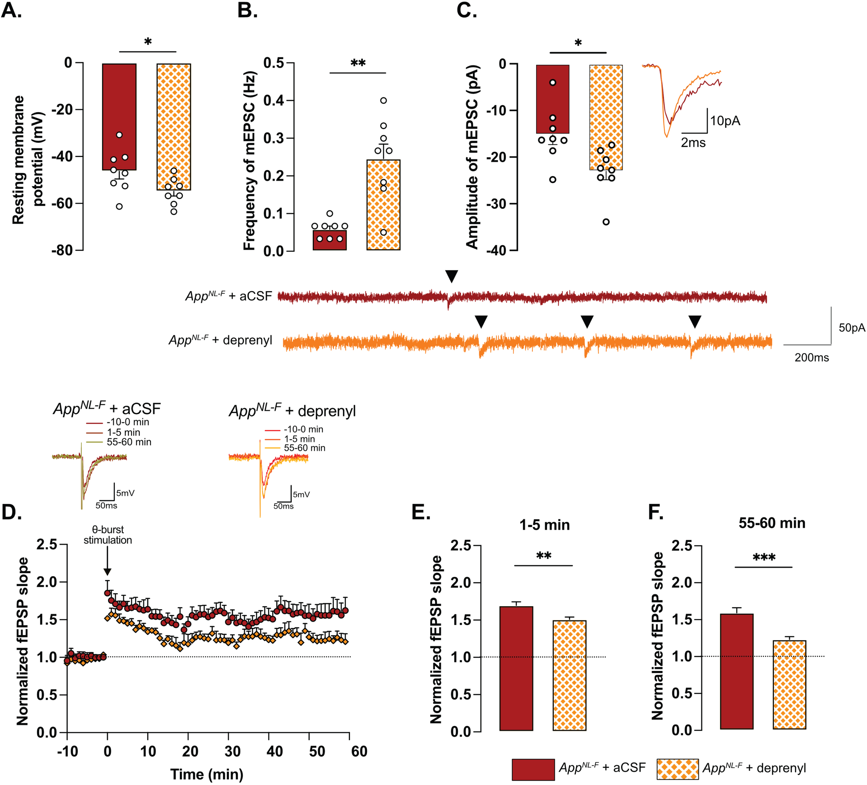 Retuned synapses after MAO-B blocking by deprenyl in 6-month-old AppNL-F mice. Pre-treatment of hippocampal slices with the MAO-B blocker deprenyl significantly decreases resting membrane potential in pyramidal cells in AppNL-F mice (A). Blocking MAO-B increased both frequency (B) and amplitude (C) of mEPSC. Representative traces are shown under graphs. Student t-test and Mann-Whitney test: **p < 0.01; ***p < 0.001 statistically significant as shown. AppNL-F + aCSF: n = 8 cells recorded in four animals; AppNL-F + deprenyl: n = 8 cells recorded in four animals. The subthreshold theta-burst (θ-burst) stimulation induced long term potentiation in both treated and untreated slices from AppNL-F mice (D). Representative traces are shown on top. When we compared the average fEPSP magnitude at 0–5 min and 55–60 min after stimulation, the potentiation was significantly lower after deprenyl pre-treatment (E, F). Mann-Whitney test: **p < 0.01, ***p < 0.001 statistically significant as shown. AppNL-F + aCSF: n = 6 recordings in four animals, AppNL-F + deprenyl: n = 5 recordings in three animals.