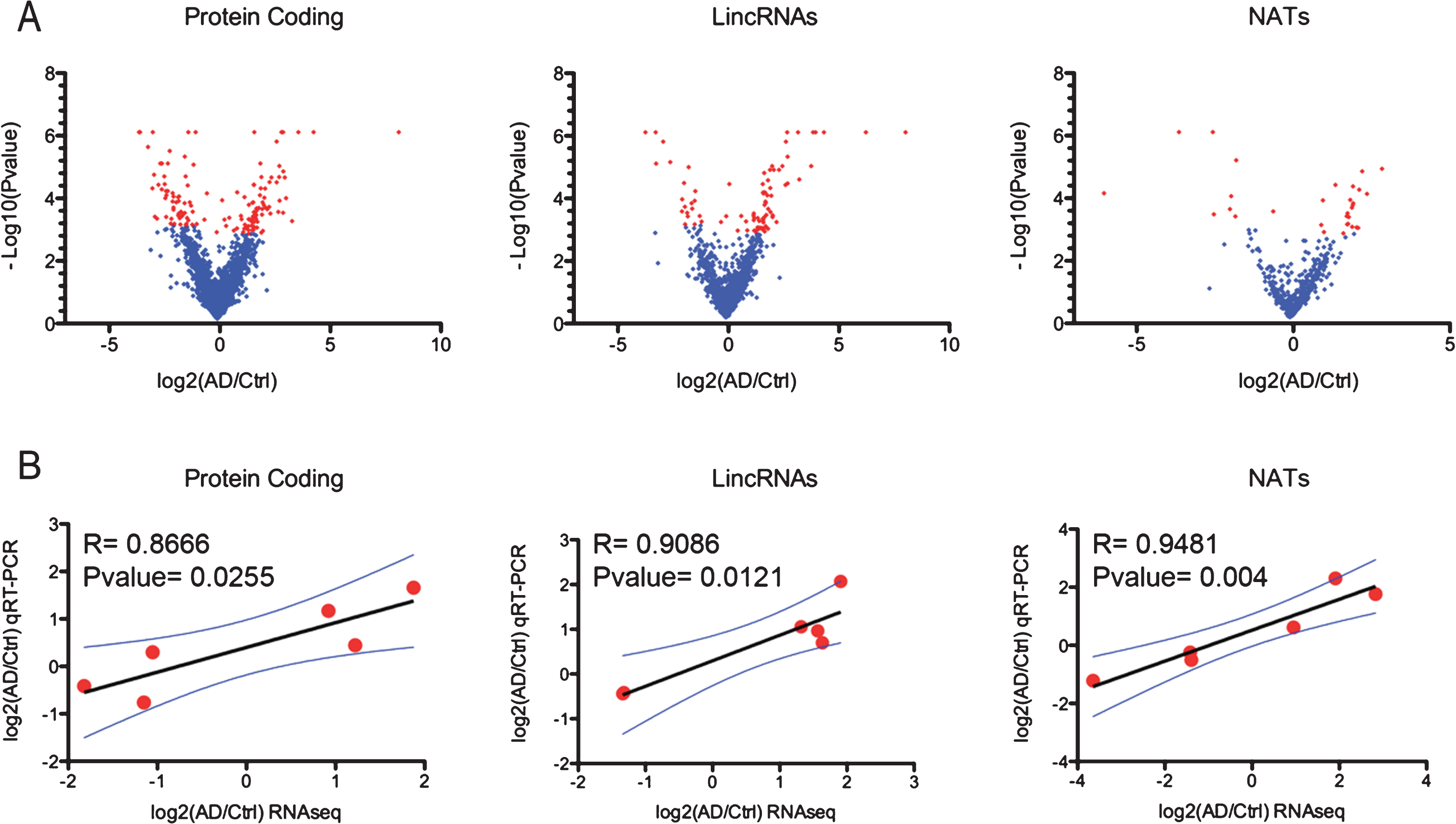 
          Differential expression analysis. A) Volcano plots revealing significant changes (Blue points; pfp <  0.1: minimum reads coverage of 20) in the expression of protein coding genes, antisense and lincRNAs in the hippocampi of AD patients (n = 4) compared to control (n = 4). B) Technical validation of RNAseq differential expression analysis using qRT-PCR showing high degree of correlation between log2 fold change differences from RNAseq and qRT-PCR data for 6 different protein coding genes, 6 lincRNAs and 6 AS RNA transcripts.
        