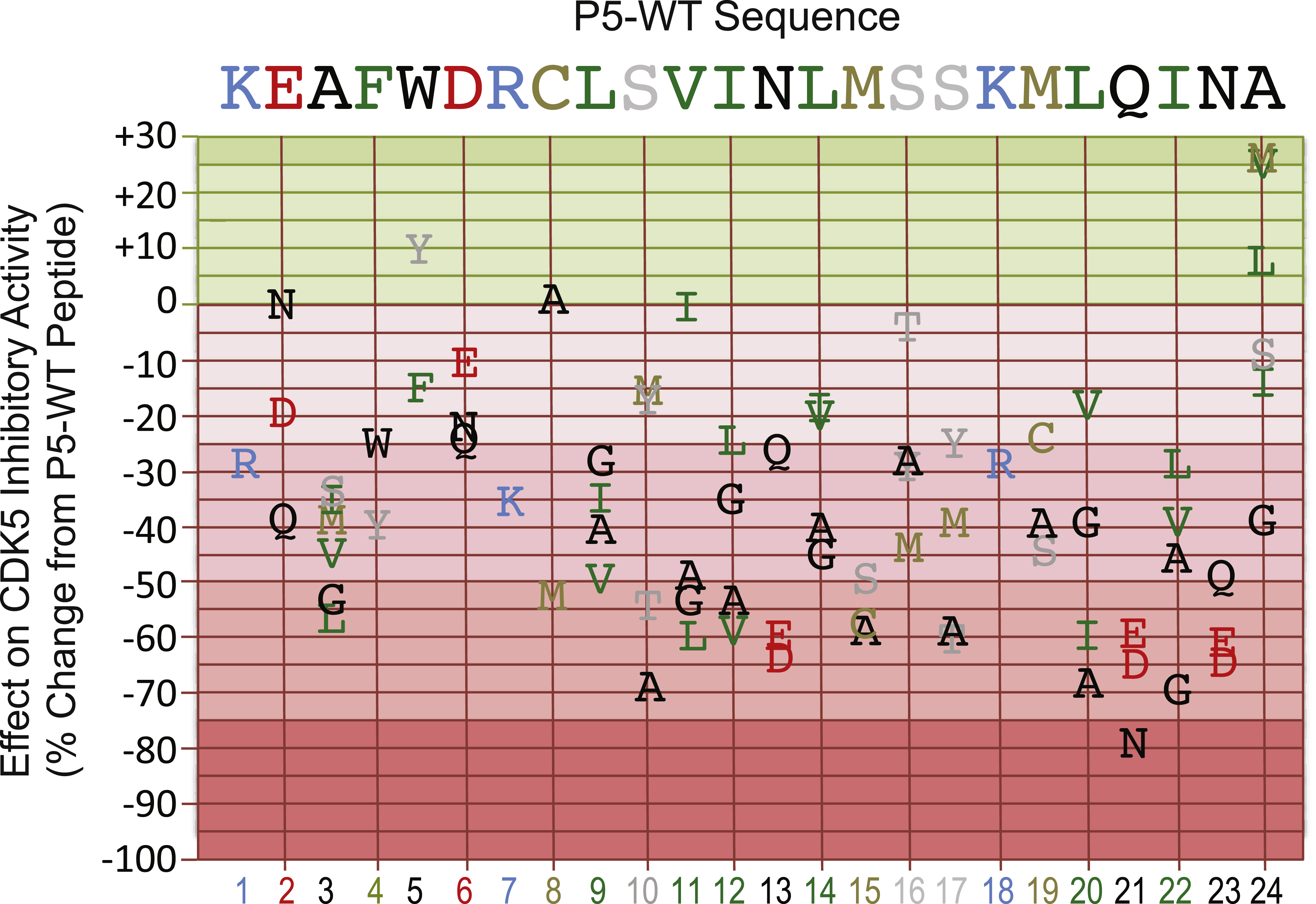 Mutational analysis of the p5-WT peptide to define the critical amino acids for its inhibitory action on CDK5 phosphotransferase activity. Replacement amino acids are graphed according to their actions on CDK5 kinase activity as a percentage of the effect of the parent p5-WT peptide, which served as a control. Single letter designations are used for each amino acid and these are colored in part according to their charge and hydrophobicity. The corresponding amino acid residue positions are shown in the bottom X-axis.