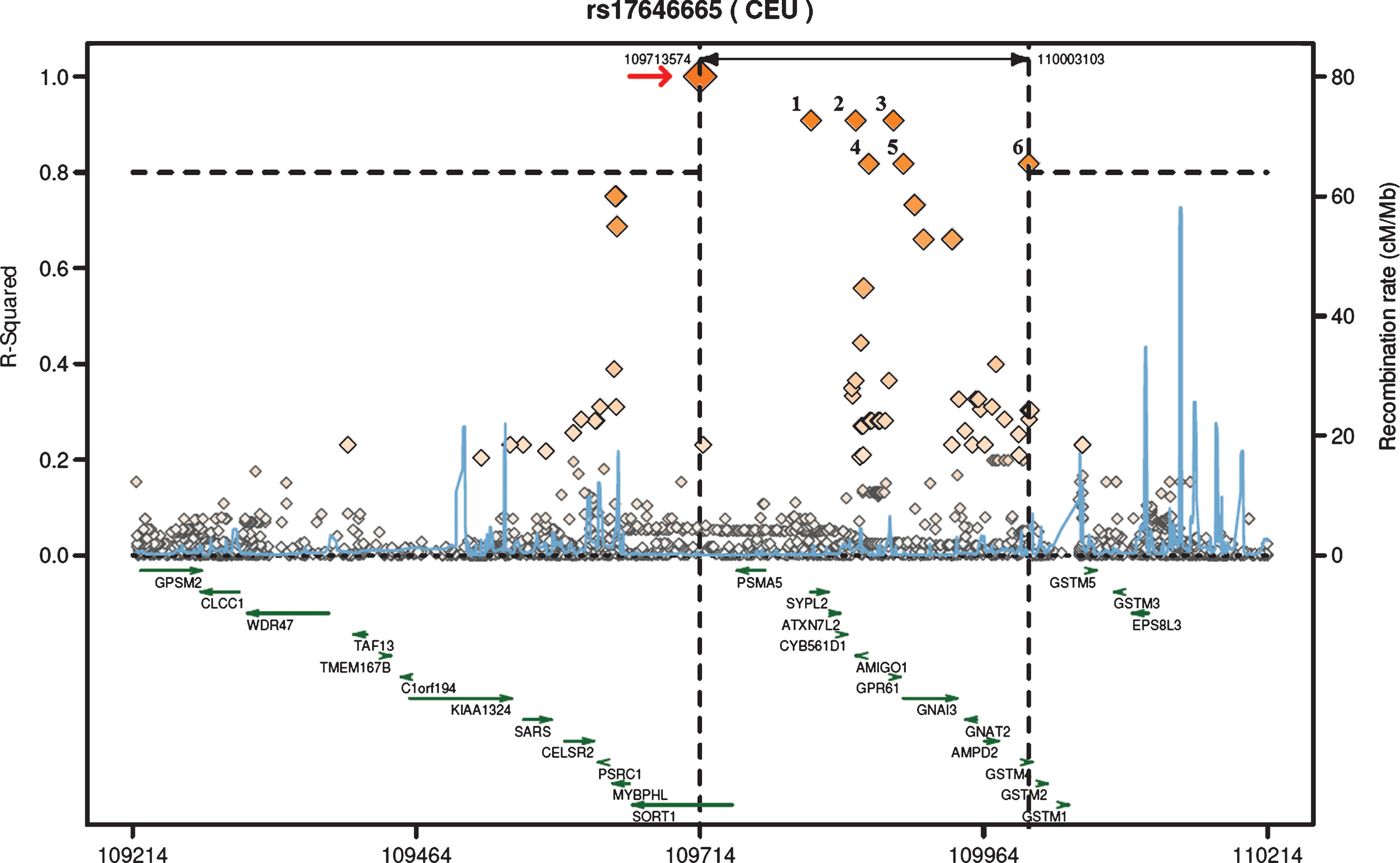 The regional LD plot was created from a published CEU population panel for rs17646665, located in SORT1 (marked by the arrow) with 500 kb flanking genomic regions on each side. The r2 threshold was set to 0.8 and six SNPs were identified with r2 >0.8 for this region, all of which were located in other genes than SORT1. The SNPs are indicated by the numbers over the boxes (1: SYPL2 (rs2272272), 2: AMIGO1 (rs17575427), 3: 5’ of GPR61 (rs552101), 4: between AMIGO1 and GPR61 (rs56018934), 5: GNAI3 (rs1279195) and 6: GSTM4 (rs650985)).