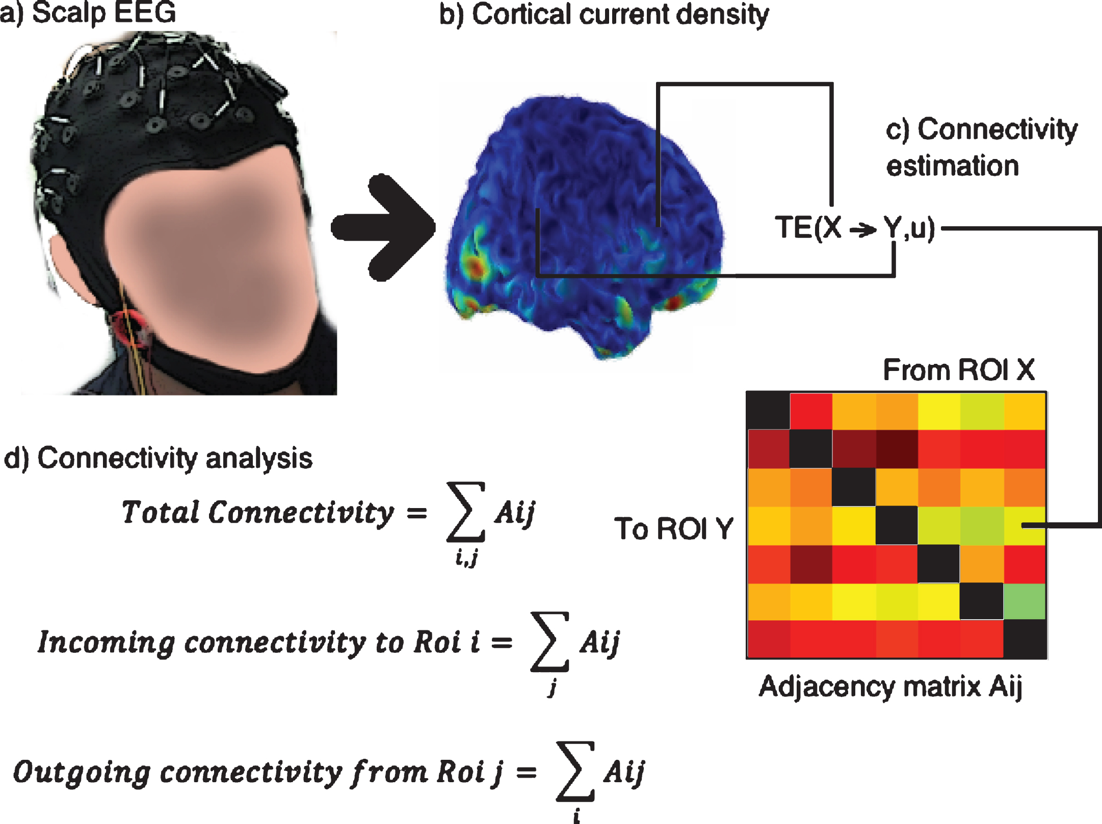 Steps followed for connectivity analysis: The scalp EEG (a) is converted to cortical current density (b). The signal for transfer entropy (TE) analysis is obtained as the average of the voxels contained in each ROI (c) and an Adjacency matrix is built, shown in colors where a warmer color indicates higher TE, and contains all the relevant connections. From the adjacency matrix the connectivity indices are obtained as sums over the rows or columns or both.