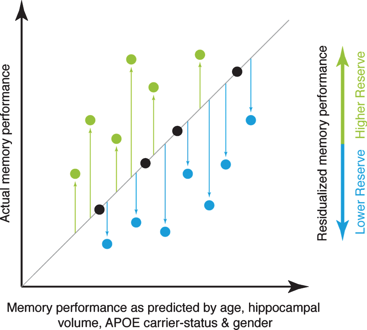 Illustration of the principle underlying the reserve measure used for the current study. The actual level of memory performance is plotted against the memory performance as predicted by age, hippocampal volume, APOE carrier-status, and gender. Individuals whose actual memory performance level is higher than predicted (green circles) have high reserve, whereas individuals whose actual memory performance is lower than predicted (blue circles) have low reserve in the memory domain.