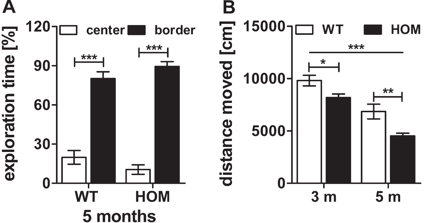 Open field activity of wild type (WT) and homozygous (HOM) TBA2.1 mice. No difference in exploratory behavior of center and border zone was observed between homozygous and wild type littermates in the open field test at an age of 5 months (A). A significant difference in the travelled distance was observed between WT and HOM mice (B). Data is represented as mean±SEM and *p < 0.5, **p < 0.01, and ***p < 0.001.