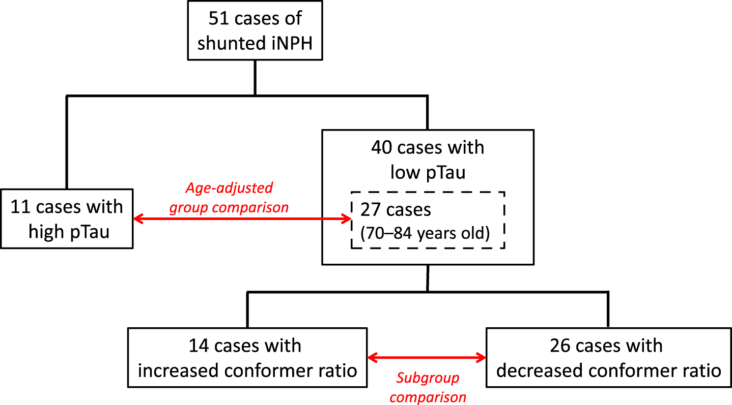 The flow chart of patient division. 51 consecutive patients with a diagnosis of possible iNPH who had undergone CSF shunting were divided into two groups according to CSF pTau levels; 40 patients with pTau levels <30 pg/ml and 11 patients with pTau levels >30 pg/ml. After adjustment for age (range 70–84 years old), 27 patients were categorized as the low-pTau group and 11 patients were categorized as the high-pTau group. Consequently, 40 patients in the low-pTau group were divided into two subgroups according to the postoperative change in Aβ42 toxic conformer ratio 1 year after CSF shunting; 26 patients with postoperatively decreased or unchanged Aβ42 toxic conformer ratio were classified into the decreased-conformer subgroup and 14 patients with postoperatively increased Aβ42 toxic conformer ratio were classified into the increased-conformer subgroup.