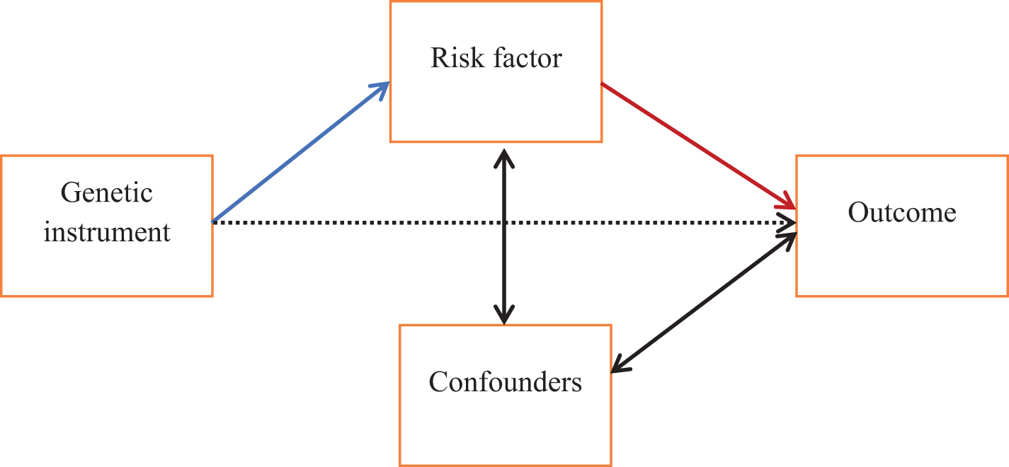 Schematic of the principles of Mendelian randomization. Mendelian randomization can be used to test for a causal relationship between a risk factor and outcome, indicated here with the red arrow. A genetic instrument (e.g., a single nucleotide polymorphism) associated with the risk factor (blue arrow) can be used as an instrumental variable to effectively randomly assign individuals to exposure groups. Reverse causation can be excluded as it is not possible for the outcome to influence a genotype which is established at conception. One important assumption is that there is no association between the genetic instrument and the outcome except via the risk factor (i.e., the dashed arrow does not exist).