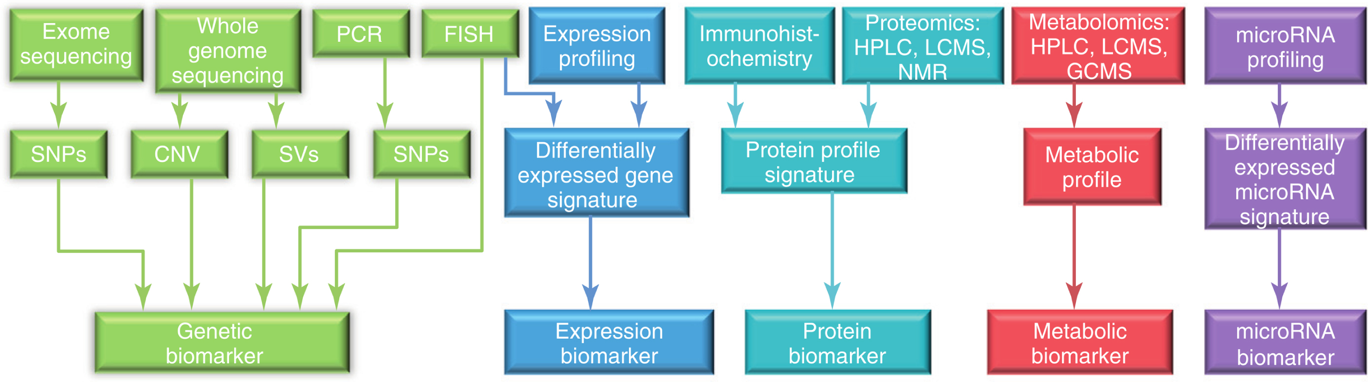 Overview of the currently available technologies and the resulting biological marker categories used for biomarker discovery in preclinical and clinical research. CNV, copy number variations; FISH, fluorescence in situ hybridization; GCMS, gas chromatography mass spectrometry; HPLC, high-performance liquid chromatography; LCMS, liquid chromatography– mass spectrometry; NMR, nuclear magnetic resonance; PCR, polymerase chain reaction; SNPs, single nucleotide polymorphisms; SVs, structural variations. Reproduced with permission from [79].
