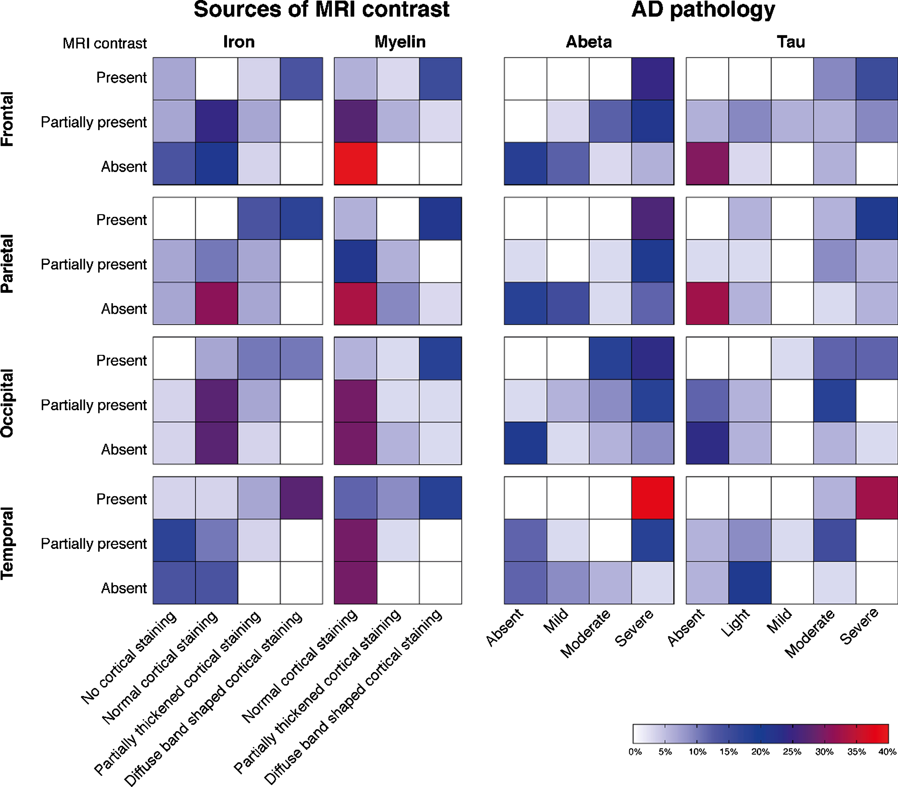 Heatmaps of the correlation between MRI contrast changes and AD pathology severity. Each individual square represents the percentage of cases. Each group of squares, for example the first group of squares in the upper left corner (i.e., MRI contrast versus changes in cortical iron accumulation in the frontal cortex), represents the correlation between the MRI scores and the histological scores. A positive correlation within each group of squares is observed as a flow of colored squares from the lower left corner towards the upper right corner. The presence of a diffuse hypointense band on MRI was significantly correlated with the semi-quantitative scored amount of cortical iron accumulation, cortical myelin changes, Aβ plaque load, and tau load in all cortical regions (p < 0.05). In our cohort, a diffuse hypointense band on MRI was always accompanied by moderate-to-high amounts of Aβ plaques and light-to-severe tau load. In subjects without a diffuse hypointense band on MRI, mostly absent-to-low amounts of hyperphosphorylated tau were found.