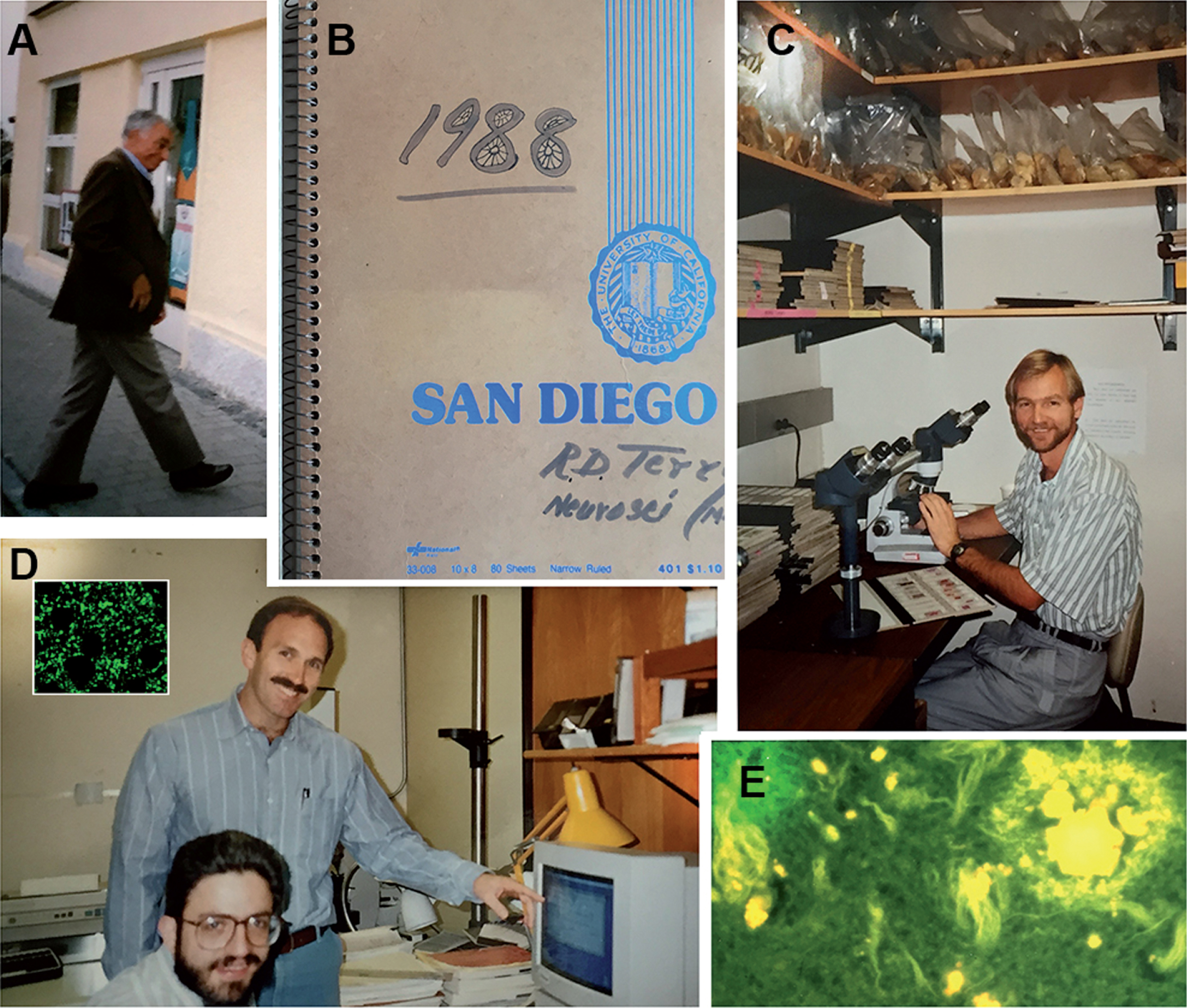 The laboratory of Neuropathology at UCSD in the late 1980s. Bob arriving for a meeting (A), Bob’s notebook from 1988 (B), Larry Hansen at the Alzheimer’s Disease Research Center brain bank analyzing the samples (C), Richard DeTeresa and Eliezer Masliah at the digital system analyzing the first laser confocal images of synapses (synaptophysin immunolabeled) from an Alzheimer’s disease brain (D), Bob Terry’s classical Thioflavine S image of plaques and tangles (E).