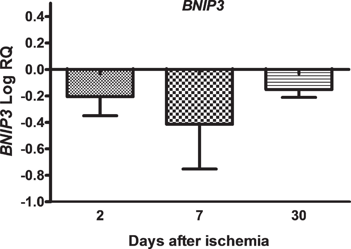 The mean expression levels of BNIP3 gene in the hippocampus CA3 area 2 (n = 8), 7 (n = 8) and 30 (n = 8) days after brain ischemia. Marked SD, standard deviation. No statistical significance at all times after ischemia (Kruskal-Wallis test).