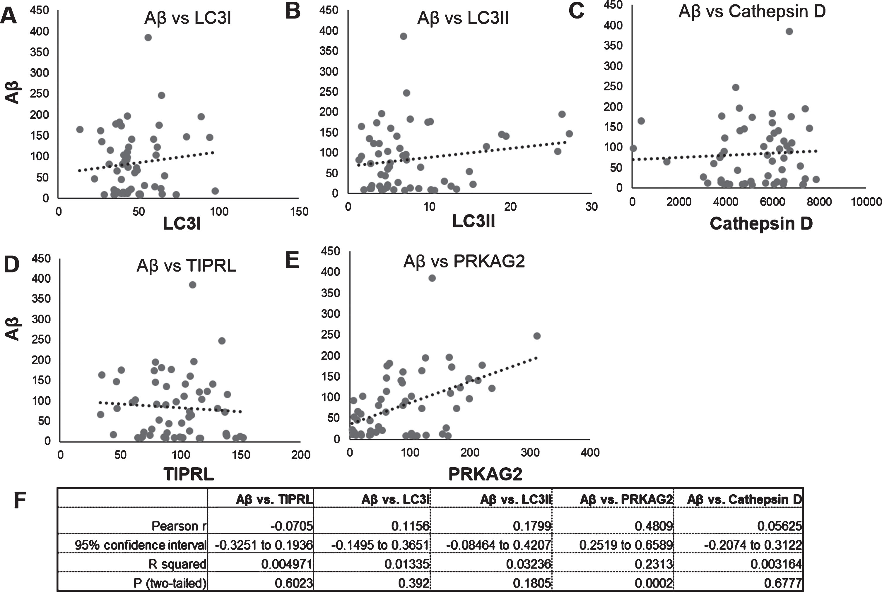Correlation of Aβ and autophagy proteins LC3, Cathepsin D, PRKAG2, and TIPRL mRNA and protein levels. Correlation of Aβ protein levels (Fig. 2) to protein levels of LC3B isoforms, LC3I (Fig. 2C), LC3II (Fig. 2D), mature Cathepsin D (Fig. 2E), PRKAG2 (Fig. 3C), and TIPRL (Fig. 3D) was done using Pearsons correlation analysis. Aβ levels positively correlated to PRKAG2 levels (r = 0.4809, p < 0005).