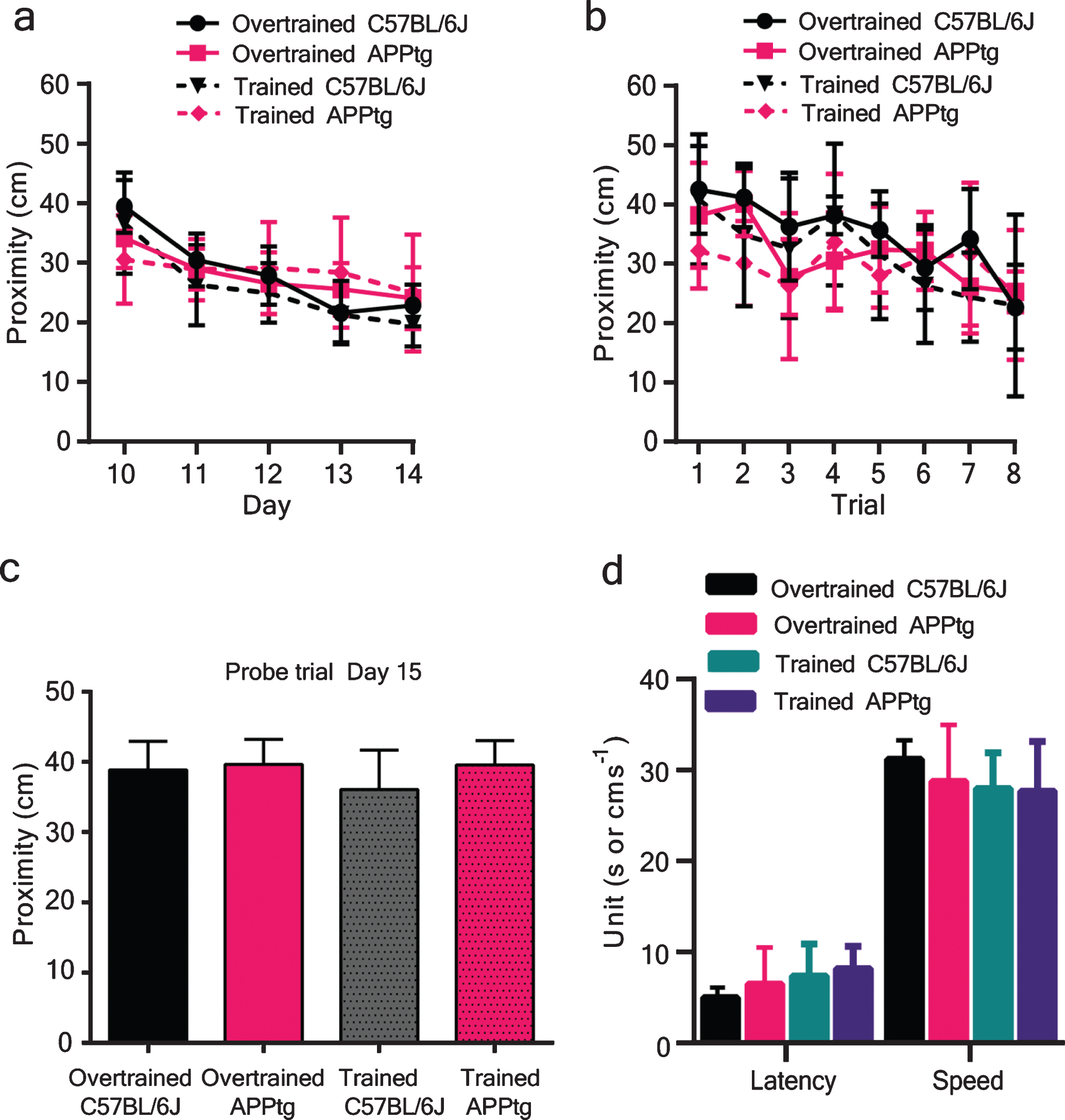 Performance of WM task in WM reversal task. a) After performing a usual third probe trial on day 9, we skipped a normal visual cue trial since removal of distal cues during visual cue trial may alter the performance during the WM reversal task. From day 10 onwards, we rotated the platform as well as starting positions by 180° for five consecutive days. ANOVA on a mixed model showed no significant effect of cognitive training on proximity at the p-value<0.05 for four different training groups [F(3,34)=0.87, p = 0.46]. b) WM performance of different groups as a function of training trials for day 10 and day 11. c) Assessment of spatial memory in the WM reversal task on day 15. Mice were allowed to swim for 30 s in a water pool in which the platform was removed. A one-way ANOVA did not reveal significant effects of cognitive training on proximity during probe trial at the p-value<0.05 for four different training groups [F(3,34)=0.78, p = 0.51]. d) Performance of mice in visual cue trials on day 15. Latency and speed were used as measures to assess visual acuity and motor performance. One-way ANOVA analysis did not show any significant group difference in visual cue trials [latency: F(3,34)=1.35, p = 0.27; speed: F(3,34)=1.29, p = 0.29]. Values are mean±95% confidence interval.