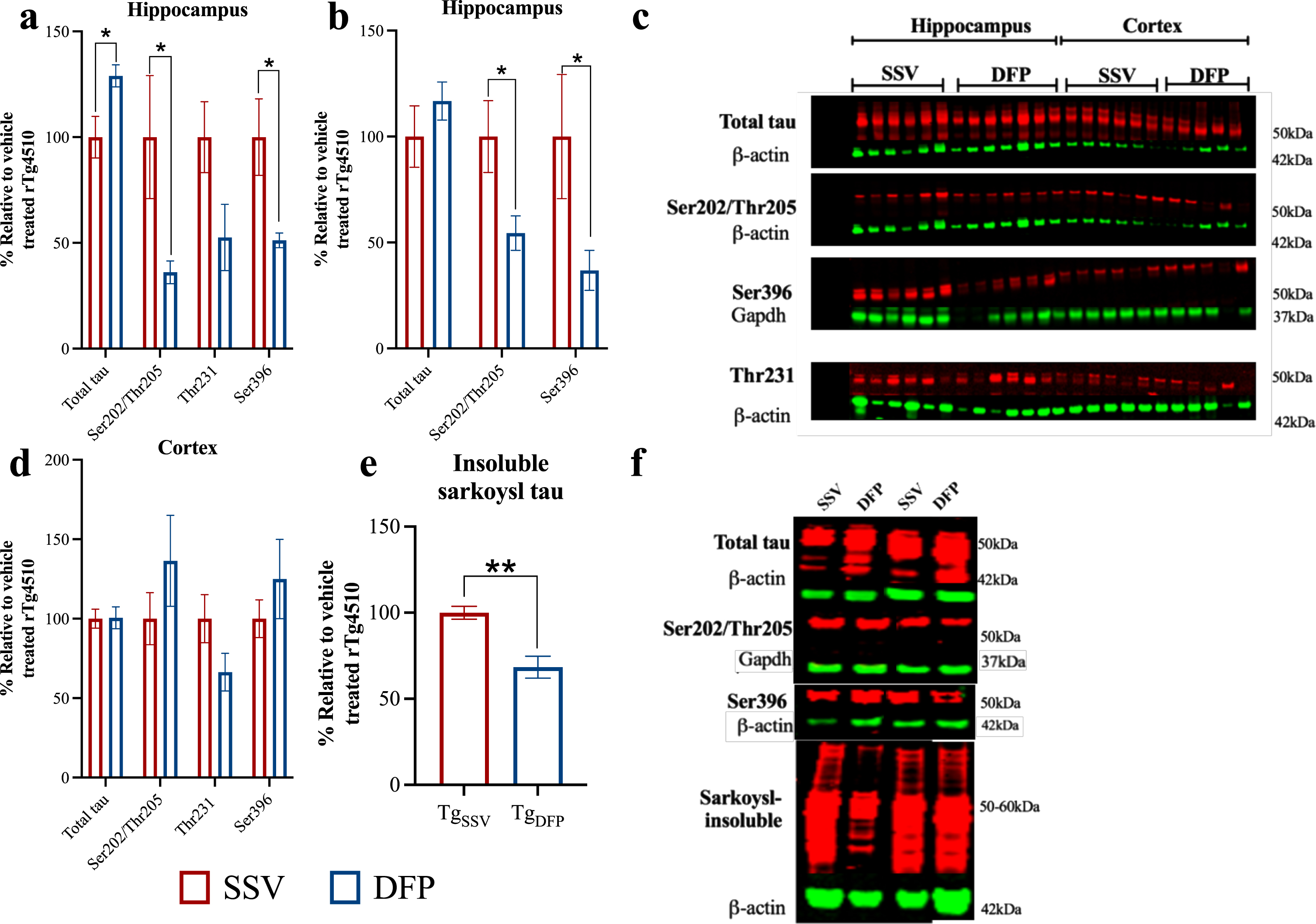 Effect of DFP on tau phosphorylation. Western blot was used to examine total tau and phosphorylated tau levels (expressed as a ratio to total tau levels) in the hippocampus in the soluble (a) and insoluble (b) fractions, (d) soluble tau levels in the cortex, and (e) sarkosyl-insoluble total tau within the cortex. (c) and (f) are representative western blot images of soluble and insoluble tau respectively (note, antibodies may have been probed on the same blot or on stripped blots). Vehicle treated rTg4510 = TgSSV; DFP treated rTg4510 = TgDFP. Unpaired t-test; Error bars represent±SEM. *p < 0.05, **p < 0.01. n = 5– 6/group.