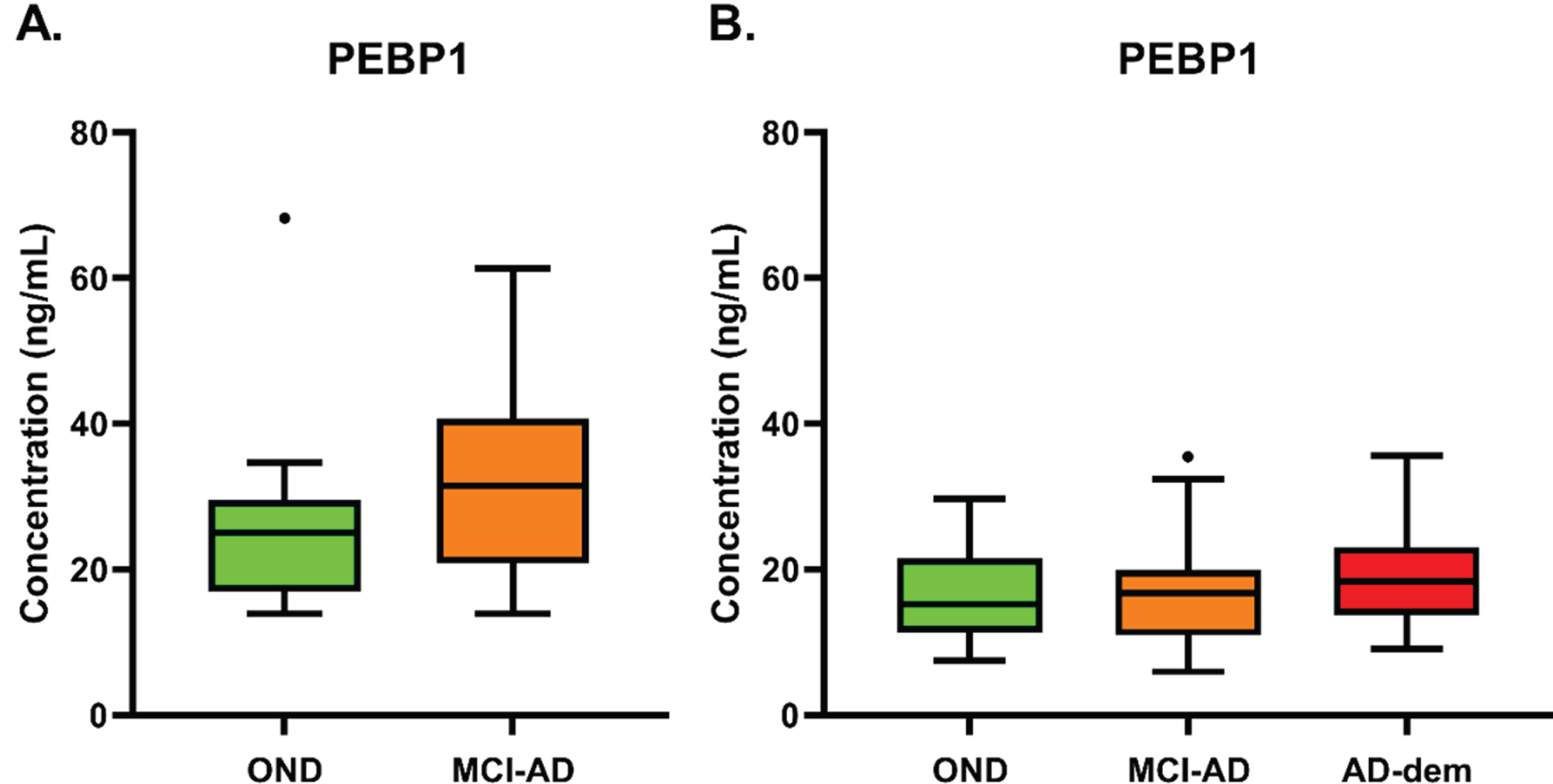 A) PEBP1 concentration (ng/mL) in CSF of OND and MCI-AD groups included in the first clinical validation (p = 0.137, assessed by Mann-Whitney test). B) PEBP1 concentration (ng/mL) in CSF of OND, MCI-AD, and AD-dem groups included in the second clinical validation (p = 0.644, assessed by Kruskal-Wallis test, followed by Dunn’s test). In boxplots, heights of boxes represent the interquartile range (from 25th to 75th percentile). The line in the middle of the box represents the median. Whiskers and outliers are plotted according to the Tukey’s method.