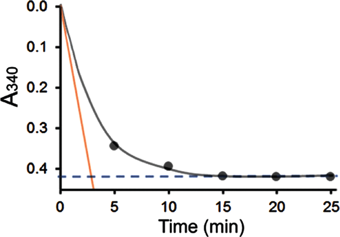 Comparison of the HAD activity of 6xHis-tagged HSD10 (human) (333 ng/ml) measured using different experimental procedure a and b. 360μM acetoacetyl-CoA and 100μM NADH were used as substrate and coenzyme, respectively.