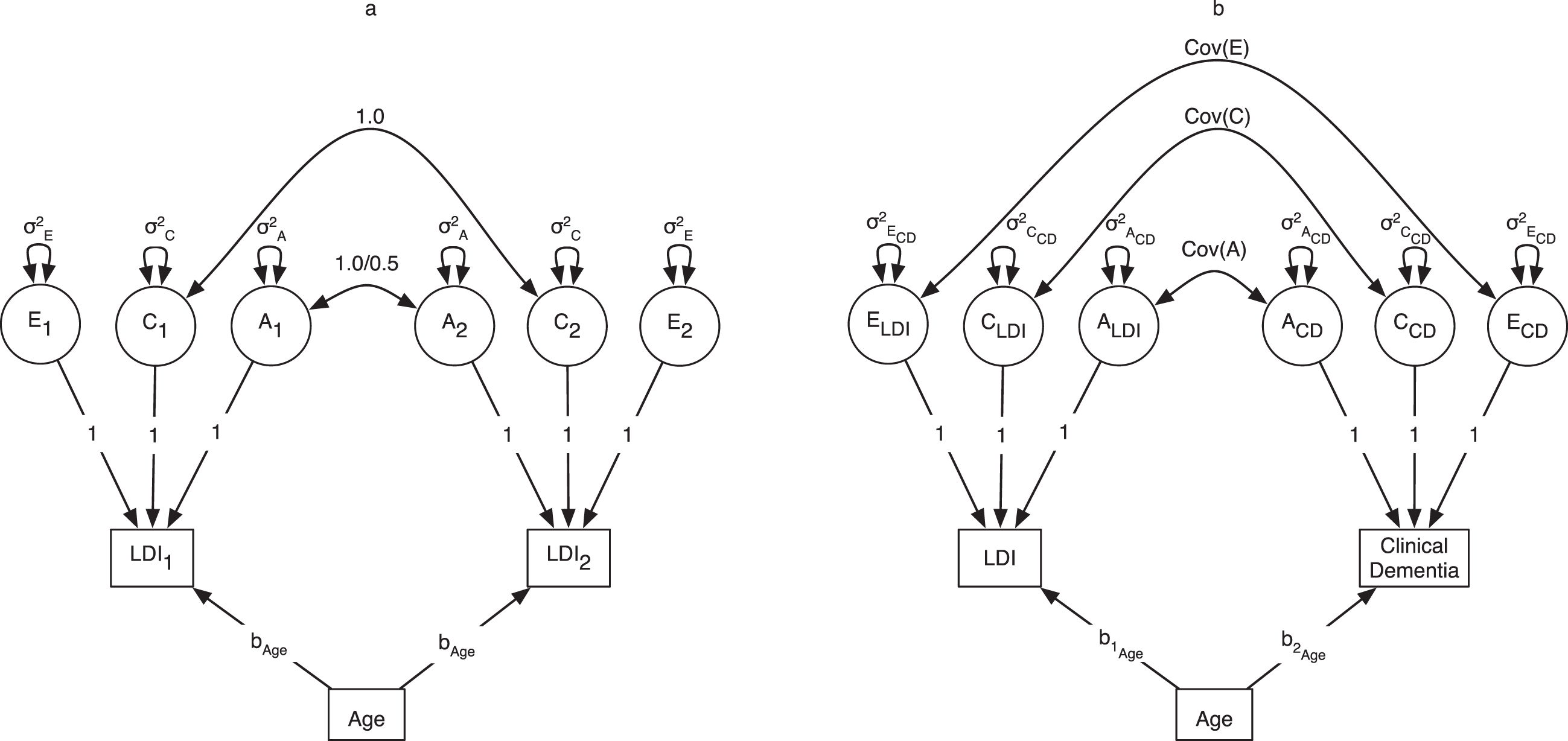 Univariate Twin Model (a) and Bivariate Twin Model (b) for One Twin Only. The univariate model in (a) gives the example of decomposing the observed latent dementia index (LDI) variance into random latent genetic (A), shared environmental (C), and non-shared environmental (E) variance components. In this model, LDI intercepts are estimated and residual variances of the LDI are constrained to be zero. Univariate ACE models were fit to dichotomized clinically diagnosed dementia and dichotomized LDI scores. In these models, thresholds replace intercepts. Effects of age at cognitive assessment (presented) and age2 (not presented) were estimated. The subscripts 1 and 2 refer to twin 1 and twin 2, respectively. The bivariate model (b) estimates decomposes the LDI and clinically diagnosed dementia into random latent genetic (A), shared environmental (C), and non-shared environmental (E) variance components and estimates the correlations between the respective components (Cov(A), Cov(C), and Cov(E)). Effects of age at cognitive assessment (presented) and age2 (not presented) were estimated.