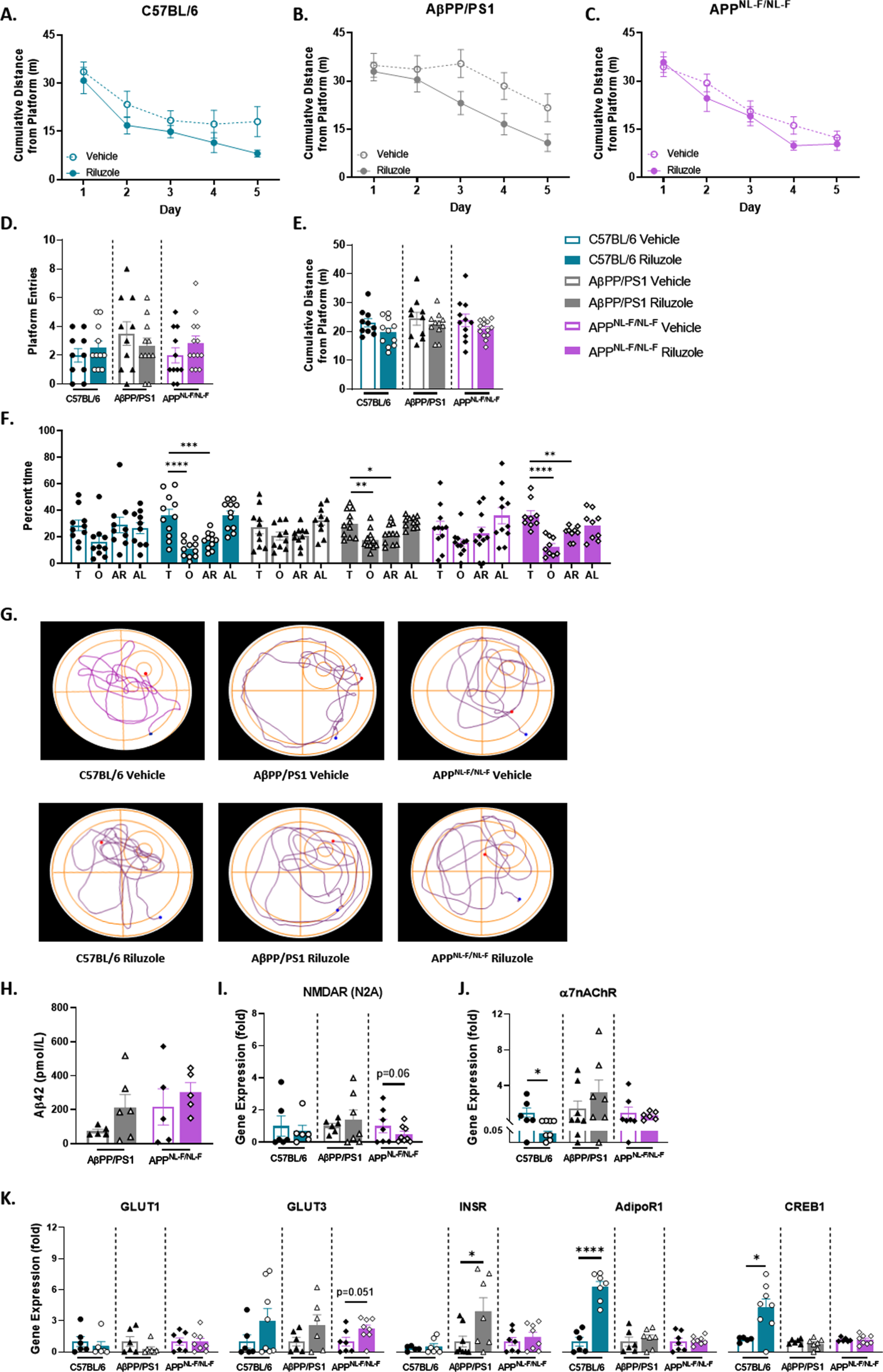 Improved spatial learning performance in riluzole-treated AβPP/PS1 female mice at 6 months old. A-C) Cumulative distance from the platform area throughout the spatial learning trials. Probe challenge measures include: platform entries (D), cumulative distance from platform (E), and quadrant occupancy (F). G) Track plots of each genotype and treatment group during the probe challenge. H) ELISA quantification of soluble Aβ42 levels in the hippocampus. I-K) RT-PCR analysis of gene targets in hippocampal tissue. Learning trials two-way repeated measures ANOVA, Sidak (n = 10–13); AUC learning trials, probe challenge, RT-PCR (n = 6–8), and ELISA analysis (n = 5–6) within-genotype unpaired t-test; Quadrant occupancy one-way ANOVA, Dunnett’s (H), *p < 0.05, **p < 0.01, ***p < 0.001, ****p < 0.0001.