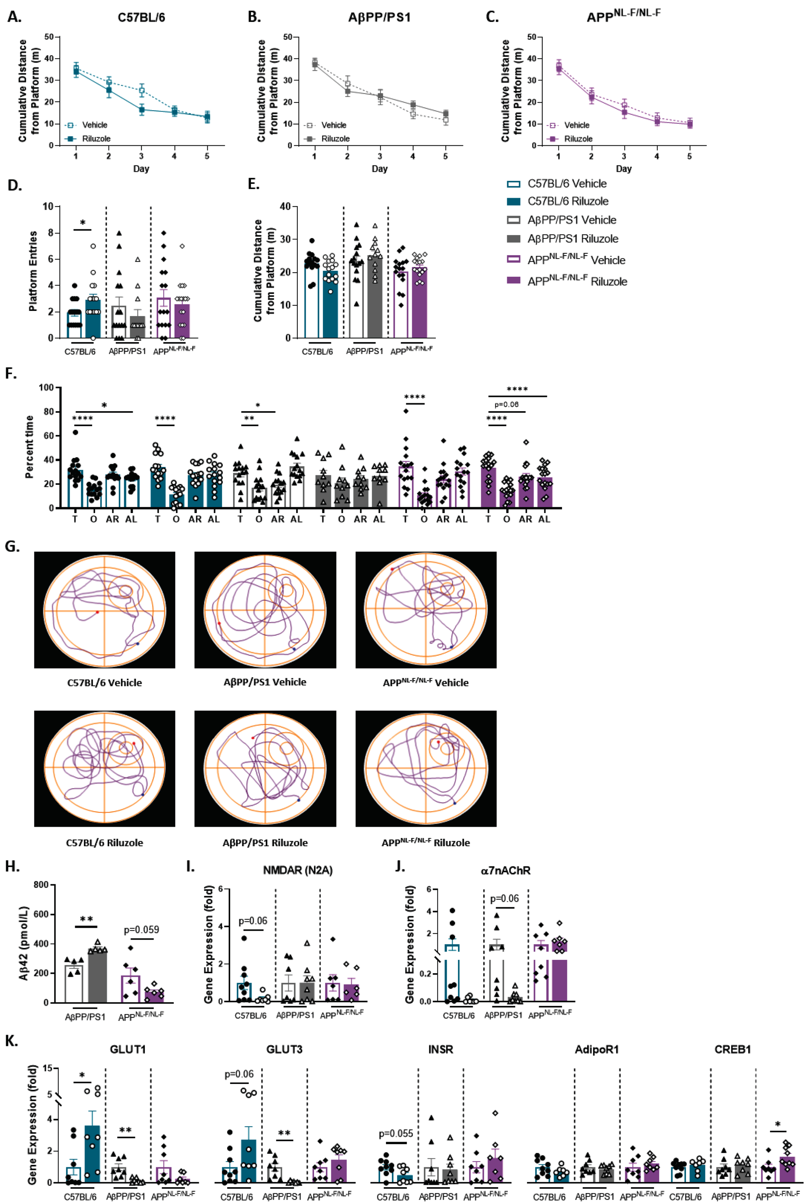 Off-treatment changes to spatial cognition in riluzole-treated female C57BL/6 mice at 12 months of age. A-C) Cumulative distance from the platform area throughout the spatial learning trials. D-F) Probe challenge measures include: platform entries (D), cumulative distance from platform (E), and quadrant occupancy (F). G) Track plots of each genotype and treatment group during the probe challenge. H) ELISA quantification of soluble Aβ42 levels in the hippocampus. I-K) RT-PCR analysis in hippocampal tissue. Learning trials two-way repeated measures ANOVA, Sidak (n = 12–19); probe challenge, RT-PCR (n = 6–10), and ELISA analysis (n = 5–6) within-genotype unpaired t-test; Quadrant occupancy one-way ANOVA, Dunnett’s (H), *p < 0.05, **p < 0.01, ***p < 0.001, ****p < 0.0001.