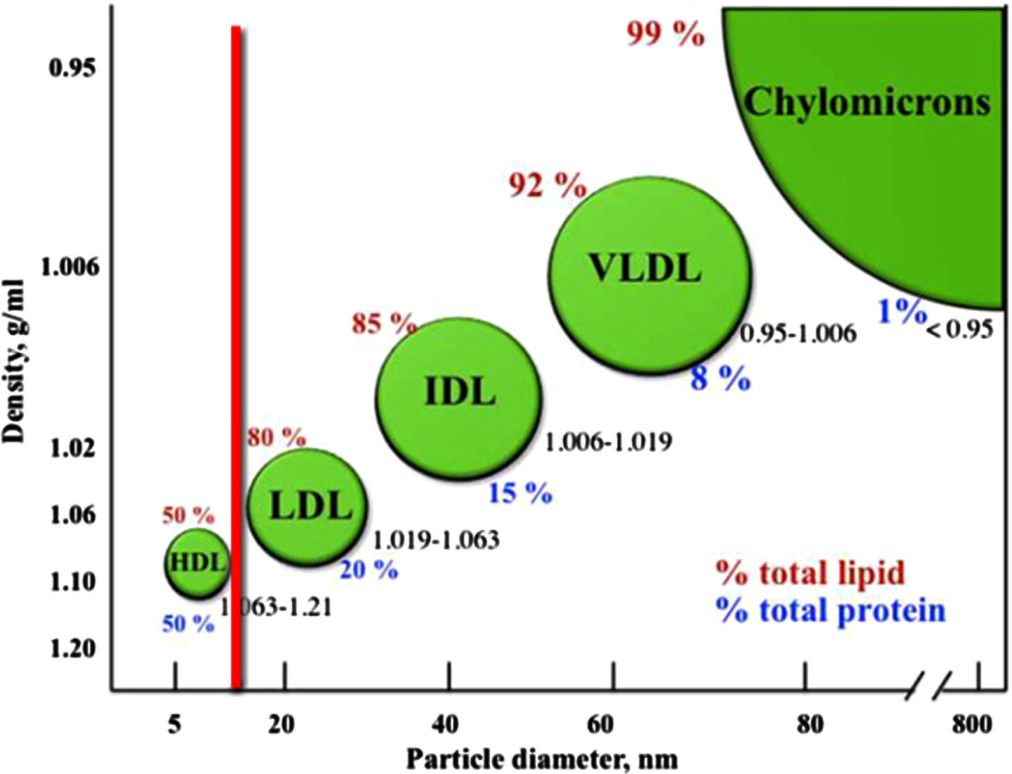 Lipoprotein classes in the bloodstream. The classification of the major types of lipoproteins is based on their densities. The density range for each class is shown, in addition to the lipid (red) and protein (blue) content. The diagram is not to scale. Image source: [56]; licensed under CC BY 3.0, with modifications by Jonathan Rudge.