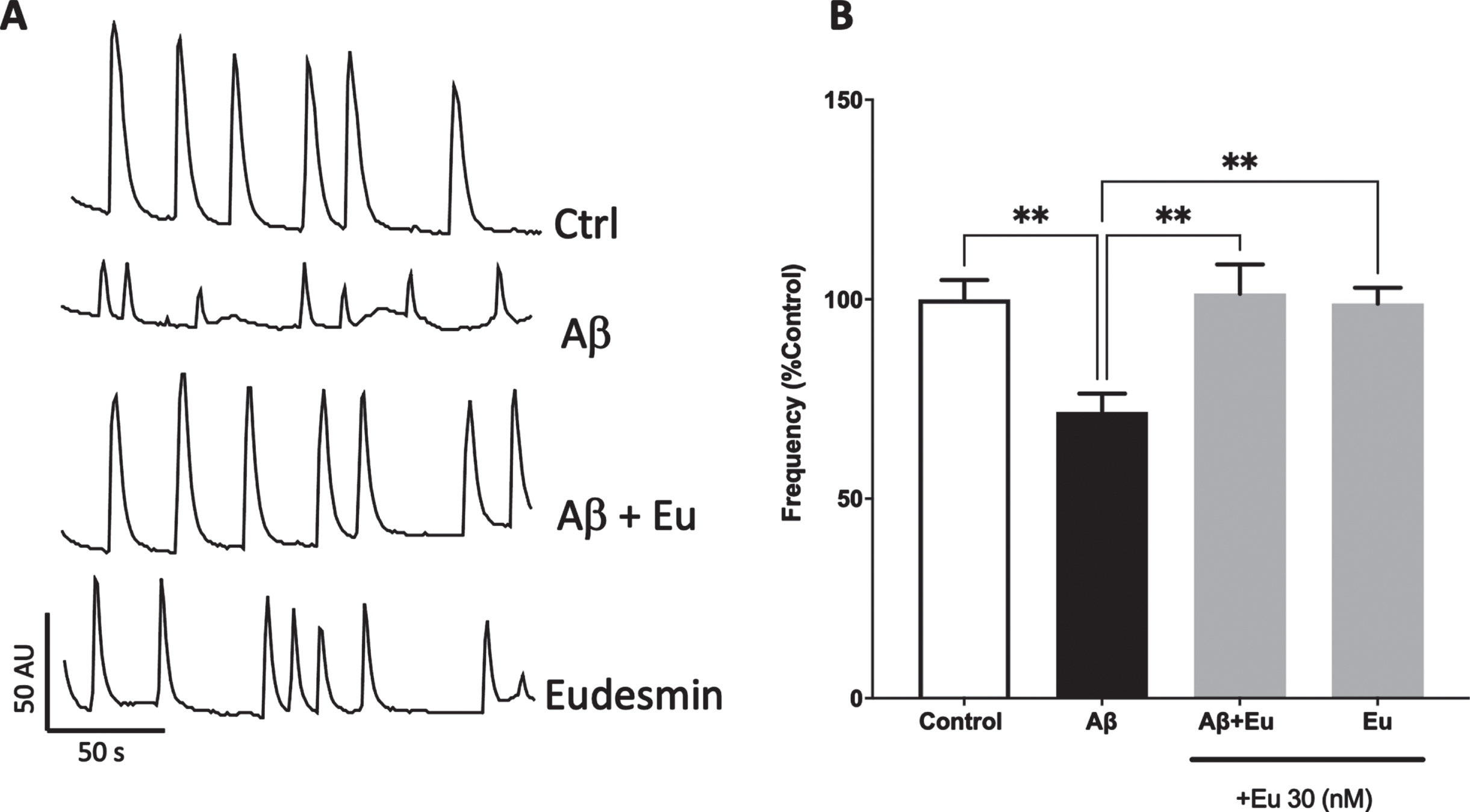 Eudesmin restored calcium transients in neurons treated with AβOs. Hippocampal neurons were co-incubated for 24 h with AβOs (0.5μM) and Eudesmin (30 nM). Calcium transients were measured using Fluo-4AM for 200 s. Representative images of calcium transients in cells treated to the different indicated treatments (A). Quantification of calcium transient’s frequency. Percentage values are expressed as the percentage of the control group (without AβOs treatment) (B). Values are mean±SEM, n = 3 using Kruskall-Wallis test, with Dunn’s post-test correction. **p < 0.01.