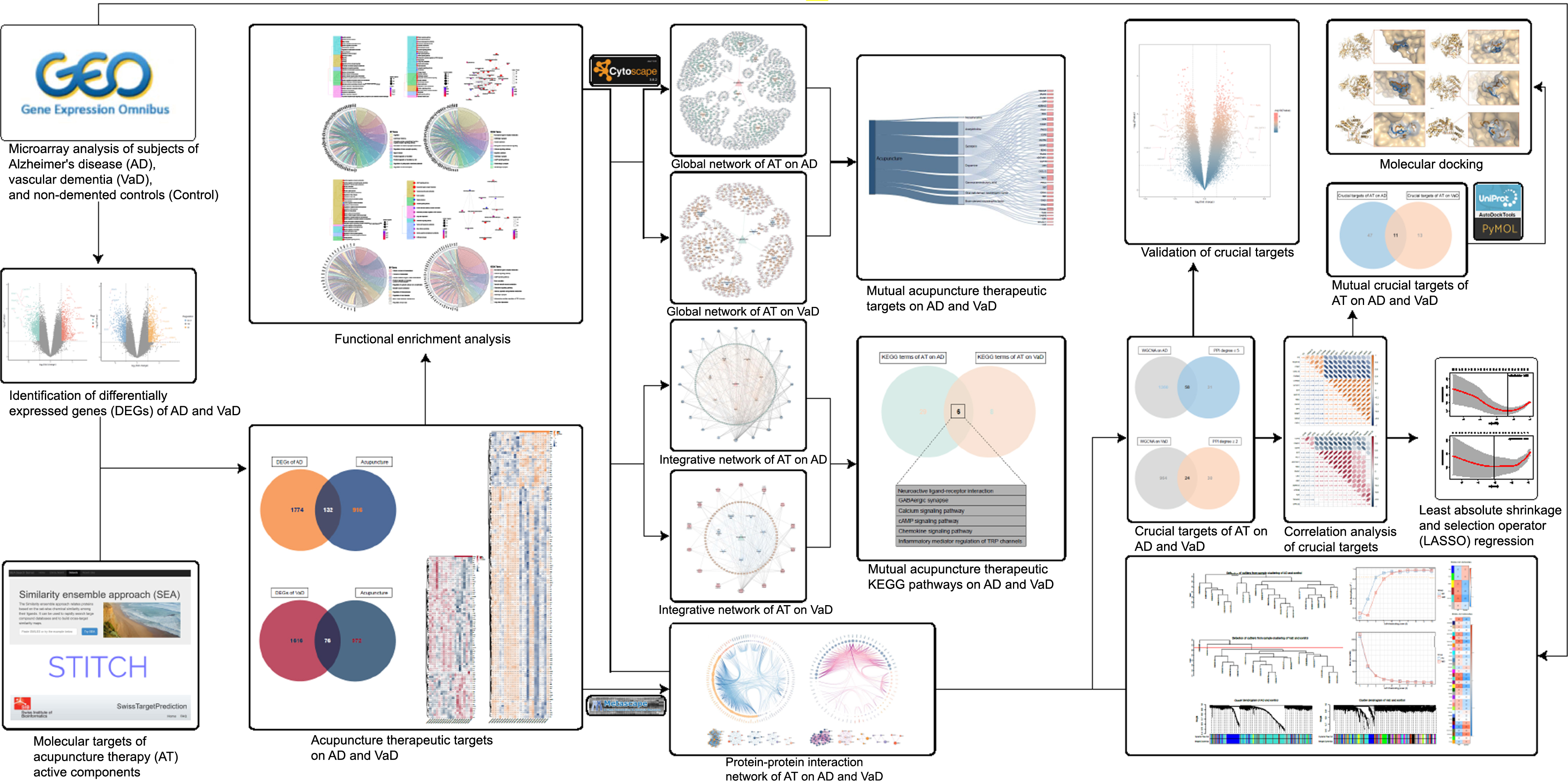 Workflow of this study. This figure demonstrates the process of identification of acupuncture therapeutic targets and multiple molecular mechanisms in treating dementia.