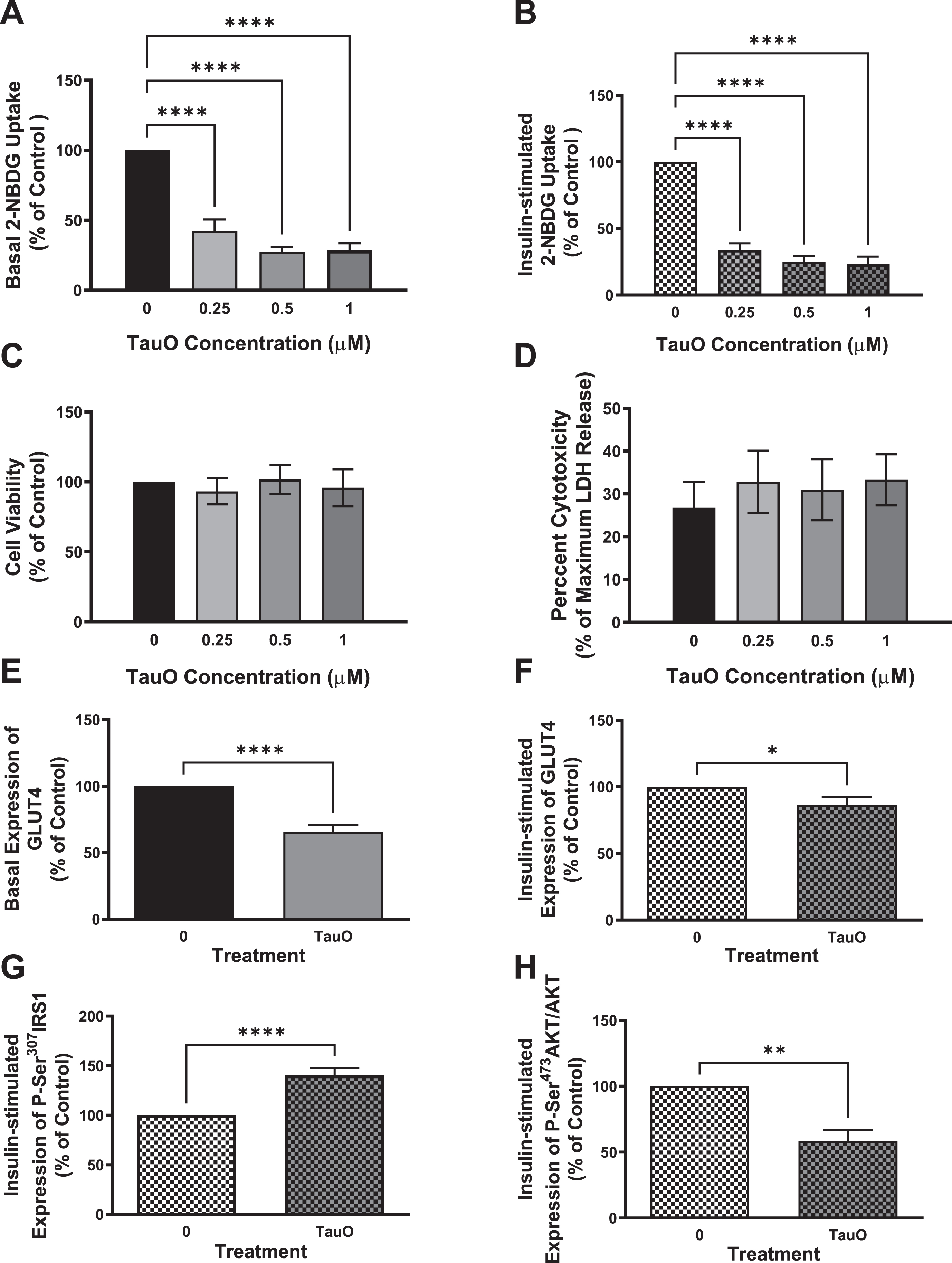 Exposure to sub-toxic concentrations of TauO results in downregulation of insulin signaling in wild type primary mouse hepatocytes. 8-month-old wild type (C57BL/6) primary mouse hepatocytes were treated with TauO at different concentrations (0.25, 0.5, and 1μM) for 24 h followed by an insulin challenge (100 nM) for 5 min. Glucose-uptake Assay: TauO results in a dose-dependent decrease in basal (A) as well as insulin-stimulated (B) glucose uptake in wild type primary mouse hepatocytes. Cell Viability and Toxicity Assays: Cell viability (MTT assay) (C) as well as cell toxicity (LDH release) (D) assays show no toxic effect of the different concentrations of TauO on primary wild type hepatocytes after 24 h of incubation. Data represent mean±SEM of 6 mice, each with six experimental replicates. ****p < 0.0001; One-way ANOVA, Dunnett’s post hoc test. ELISA: E, F) Glucose transporter GLUT4 : 0.5μM TauO treatment results in significant reduction of basal (E) as well as insulin-stimulated (F) expression of GLUT4 at the membrane in wild type primary mouse hepatocytes. Data represent mean±SEM of 6 (E), or 7 (F) mice, each with two experimental replicates. Treatment with 0.5μM TauO results in a significant increase in phosphorylation and inactivation of IRS1-Ser307 (G) as well as a significant decrease in phosphorylation and activation of AKT-Ser473 (H). Data represent mean±SEM of 8 (G) or 4 (H) mice, each with two experimental replicates. *p < 0.05, **p < 0.01, ****p < 0.0001; Unpaired t-test.