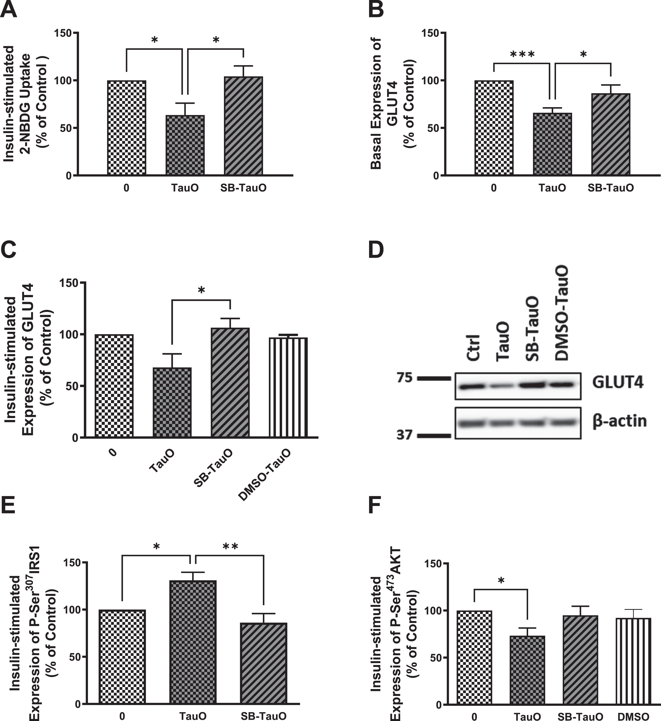 Exposure to the p38 MAPK inhibitor, SB203580, rescues TauO-induced downregulation of insulin signaling. Glucose-uptake: A) Treatment with 0.5μM TauO results in significant reduction of insulin-stimulated glucose uptake into primary wild type hepatocytes that is rescued by pretreatment with the p38 inhibitor, SB203580. Data represent mean±SEM of 7 (untreated, TauO treated) or 4 (SB-TauO-treated) mice. Western blot analysis: C, D) Pretreatment with SB203580 rescues TauO-induced reduction of insulin-stimulated expression of GLUT4 at the membrane in wild type primary mouse hepatocytes. Data represent mean±SEM of 4 (0, TauO) or 3 (SB-TauO, DMSO-TauO) mice. DMSO used as a vehicle control shows no effect on wild type primary hepatocytes. This effect was confirmed by ELISA (B), Data represent mean±SEM of 6 (0, TauO) or 3 (SB-TauO) mice. ELISA: E, F) Treatment with 0.5μM TauO results in a significant increase in phosphorylation and inactivation of IRS1-Ser307 (E) as well as a significant decrease in phosphorylation and activation of AKT-Ser473 (F). These effects were reversed by pretreatment with the p38 MAPK inhibitor, SB203580. DMSO used as a vehicle control shows no effect on wild type primary hepatocytes. The values are expressed as the percent of insulin-treated control. Data represent mean±SEM of 6 (E), or 7 (0, TauO, SB-TauO in F), 3 (DMSO in F) mice, each with two experimental replicates, *p < 0.05, **p < 0.01, ***p < 0.001; One-way ANOVA, Dunnett’s post hoc test.