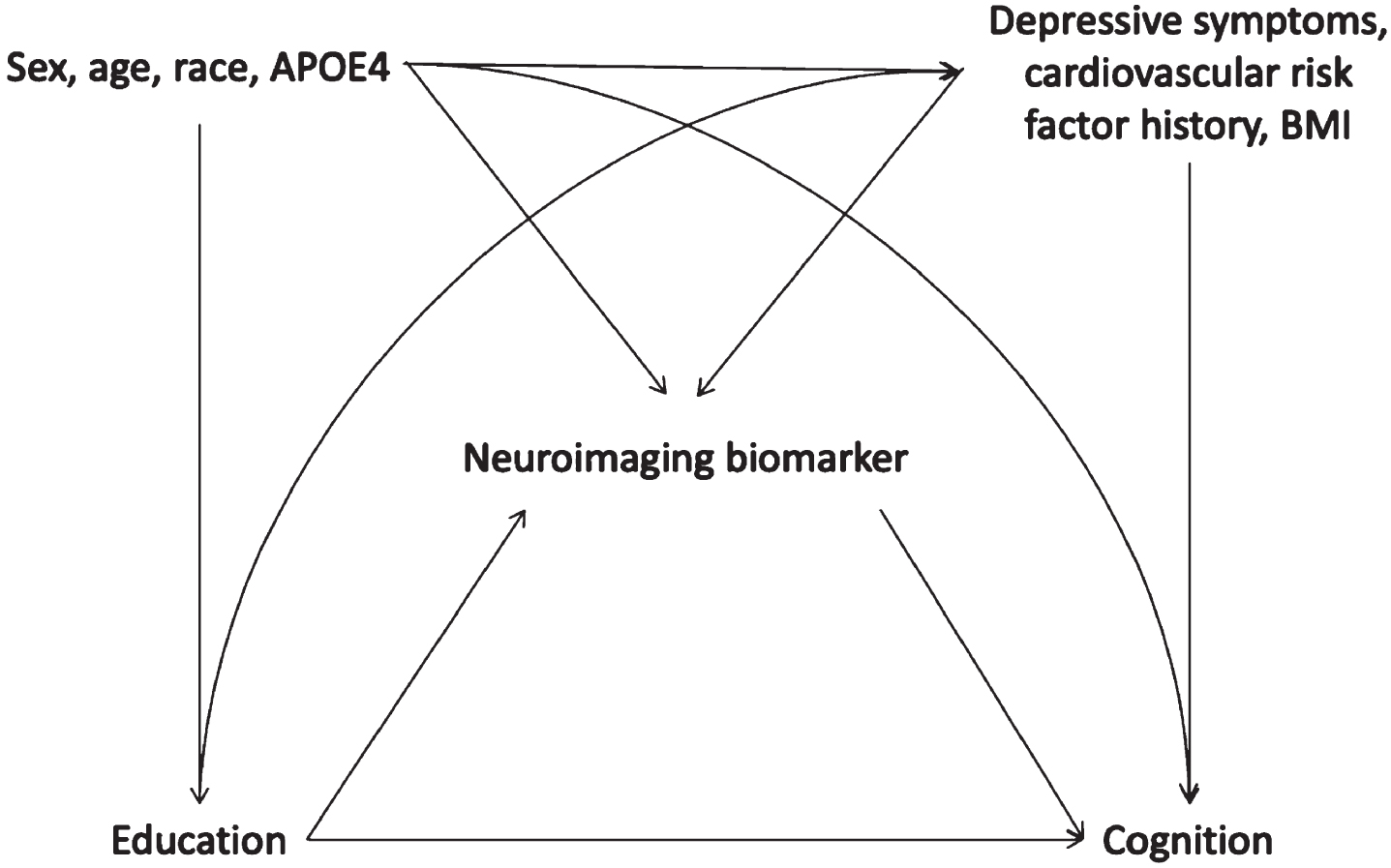 Hypothesized causal structure guiding choice of covariates in models to test mediation of the relationship between education and cognition by neuroimaging biomarkers. APOE4, Apolipoprotein E ɛ4 allele; BMI, body mass index.