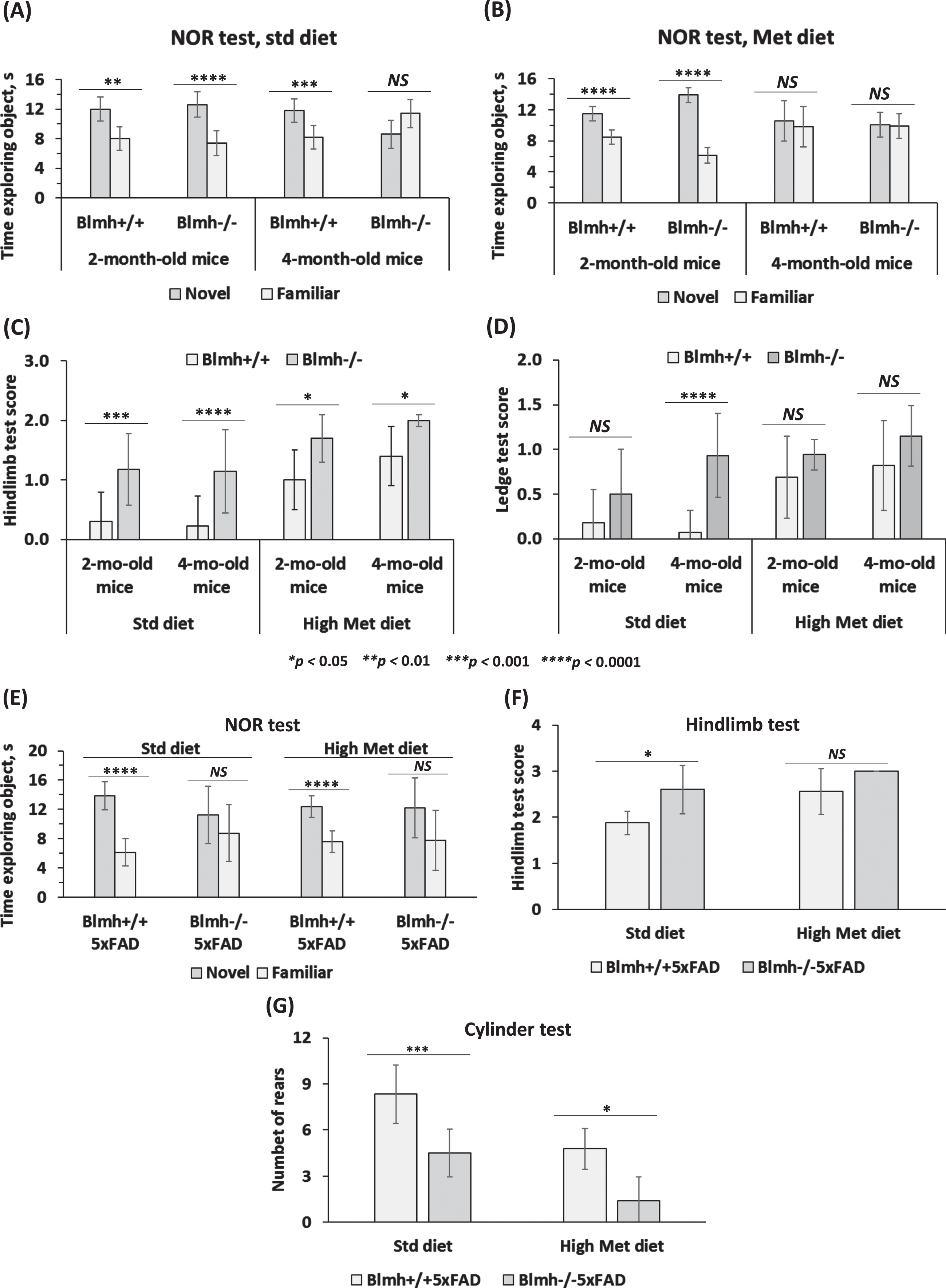 Deletion of Blmh gene impairs recognition memory and sensorimotor activity. A-D) Blmh-/- versus Blmh+/+ mice. A, B) Novel object recognition (NOR) test: Time spent at novel and familiar objects. Std diet: N = 6, 7, 9, and 4 mice/group. Met diet: 7, 7, 8, and 10 mice/group. C) Hindlimb clasping test scores. D) Ledge test scores. Std diet: N = 8, 9, 30, and 14 mice/group. Met diet: 20, 11, 14, and 10 mice/group. E-G) Blmh-/-5xFAD versus Blmh+/+5xFAD mice - (E) NOR test: Time spent exploring novel and familiar objects. Std diet: N = 8 and 4 mice/group; Met diet: 8 and 5 mice/group. F) Hindlimb clasping test scores. Std diet: N = 8 and 4; Met diet: 9 and 7 mice/group. G) Cylinder test: number of rears. Std diet: N = 8 and 6; Met diet: 9 and 5 mice/group. p-values for the NOR test were calculated by the paired two-sided Student t test. p-values for the hindlimb, ledge, and cylinder tests were calculated by one-way ANOVA with Tukey’s multiple comparisons test. *p<0.05, **p<0.01, ***p<0.001, or ****p<0.0001.