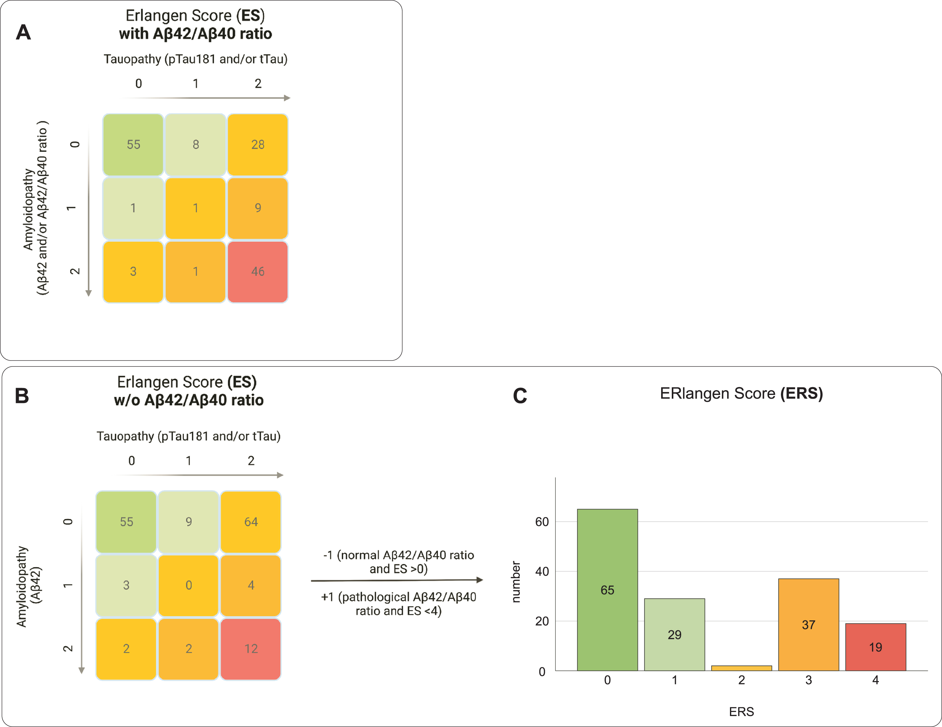 Comparison of the grouping of the study population using the established Erlangen Score (ES) and the reconceptualized ERlangen Score (ERS). The ES was calculated with (A) and without (B) consideration of the Aβ42/Aβ40 ratio. The ERS was calculated in two steps. In step 1, the score is calculated as in the ES, but without considering the Aβ42/Aβ40 ratio, i.e., as in Fig. 1B. In the second step, in case of a pathological or normal Aβ42/Aβ40 ratio, +1 or –1 is added, provided the value is not below 0 or exceeds 4. By changing the weighting of the Aβ42/Aβ40 ratio in the ERS, substantially fewer participants were assigned to the intermediary risk group (yellow group) compared to the ES. The score of the ES can be derived by summing values for amyloidopathy and tauopathy (0 = normal, 1 = borderline pathological, 2 = definitive pathological). Colors indicate assumed dementia risk: low (green), mild (light green), intermediate (yellow), increased (orange) or probable (red).