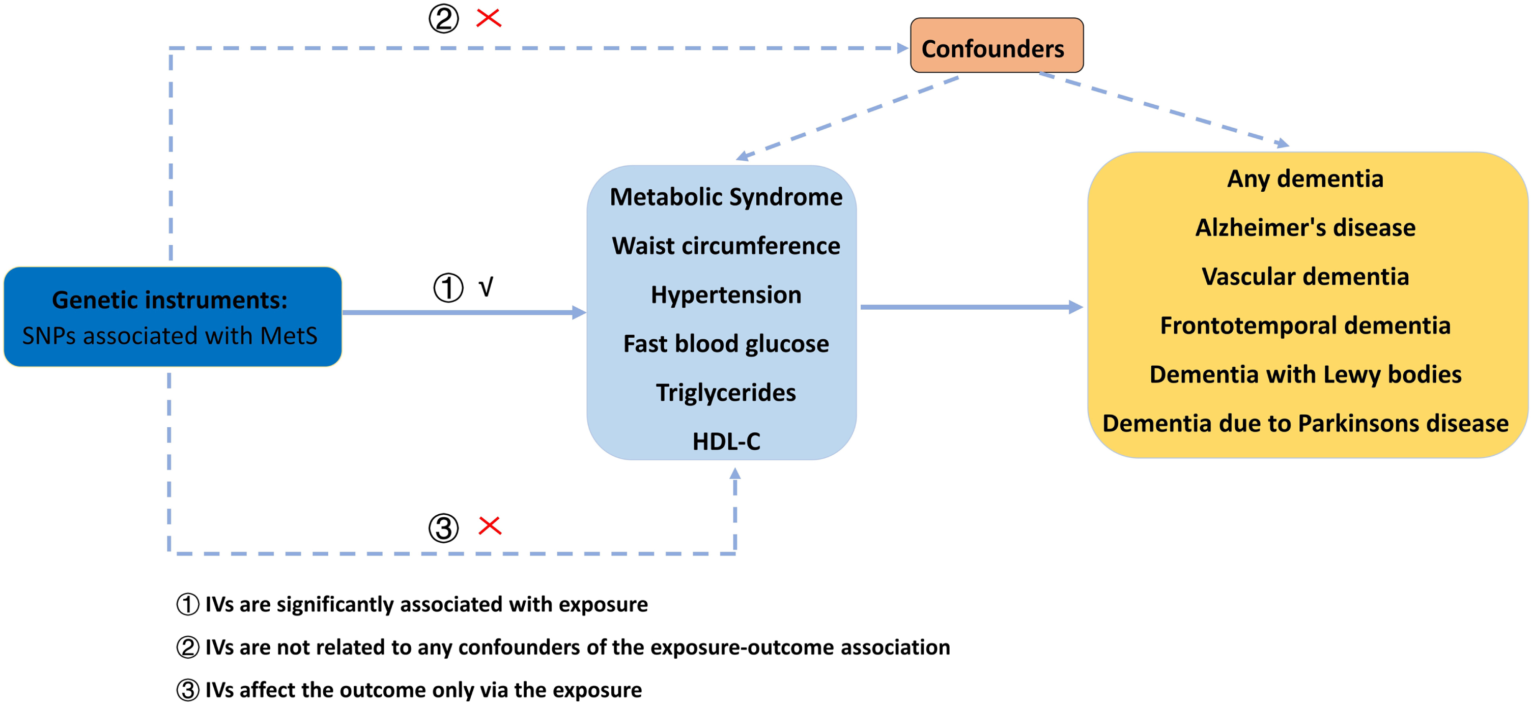 The flow chart of our MR analysis. MetS, metabolic syndrome; MR, Mendelian randomization; SNP, single nucleotide polymorphism; HDL-C, high-density lipoprotein cholesterol.