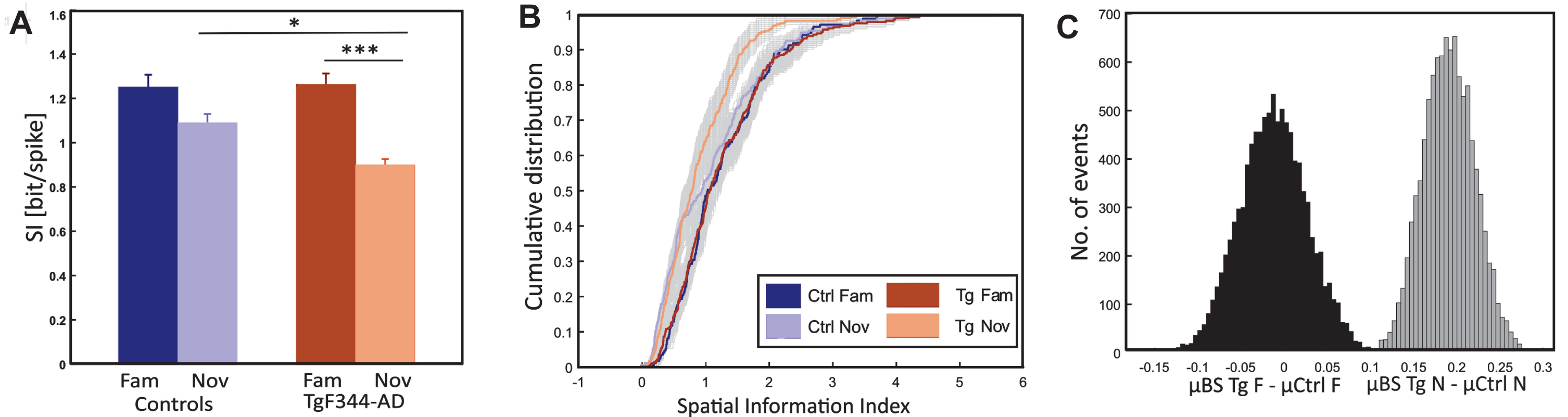 Spatial information differences between control and transgenic animals. Panel A depicts the comparison of the average spatial information index (y-axis) between groups (x-axis), revealing significantly impaired spatial coding in TgF344-AD rats compared to controls under novel conditions. Both groups exhibit a decrease in spatial information from the familiar to the novel environment; however, the drop is significant only in transgenics. Panel B illustrates the cumulative distribution (y-axis) of the spatial information index (x-axis) for all the original control and transgenic cell population (4 colored lines as in the description box) and along with bootstrapped transgenic cell population (2 grey shaded curves) in both conditions. Panel C depicts a histogram illustrating the bootstrapped distribution of the spatial information index. The y-axis represents the number of events, while the x-axis shows the sample differences between bootstrapped transgenics (BS Tg) and control animals in familiar (black-shaded) and novel environments (grey-shaded). The criteria for bootstrapping are described in the methods section. *p < 0.05, ***p < 0.001.